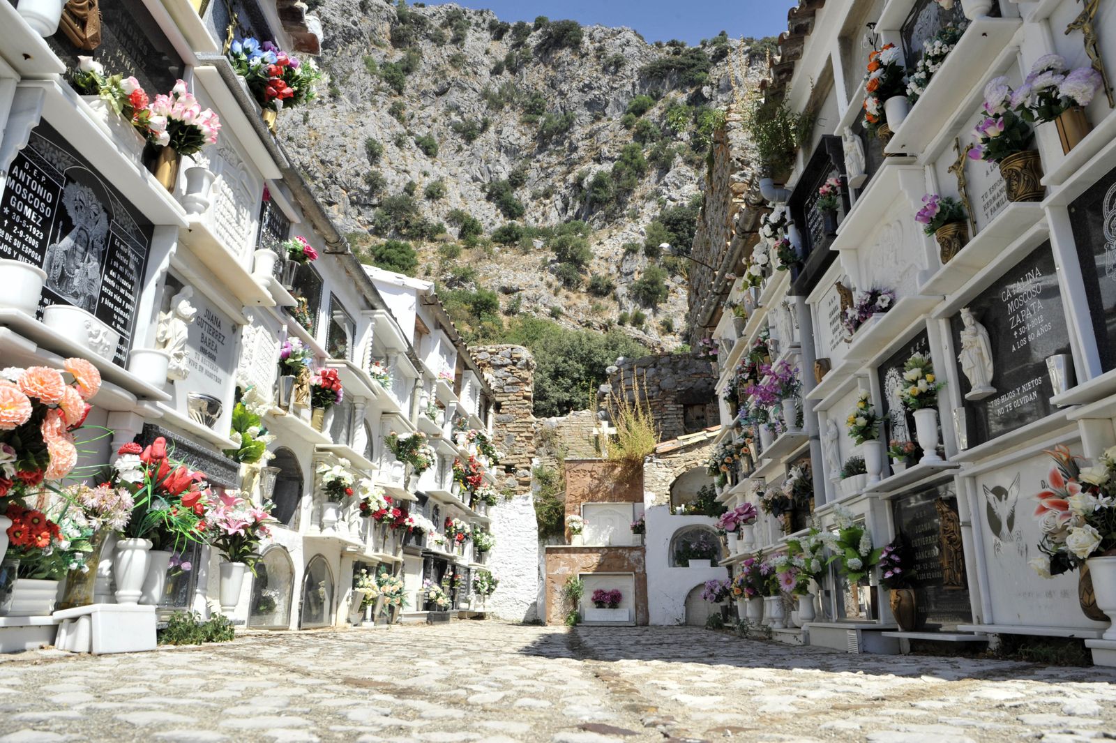 Cementerio de Villaluenga del Rosario