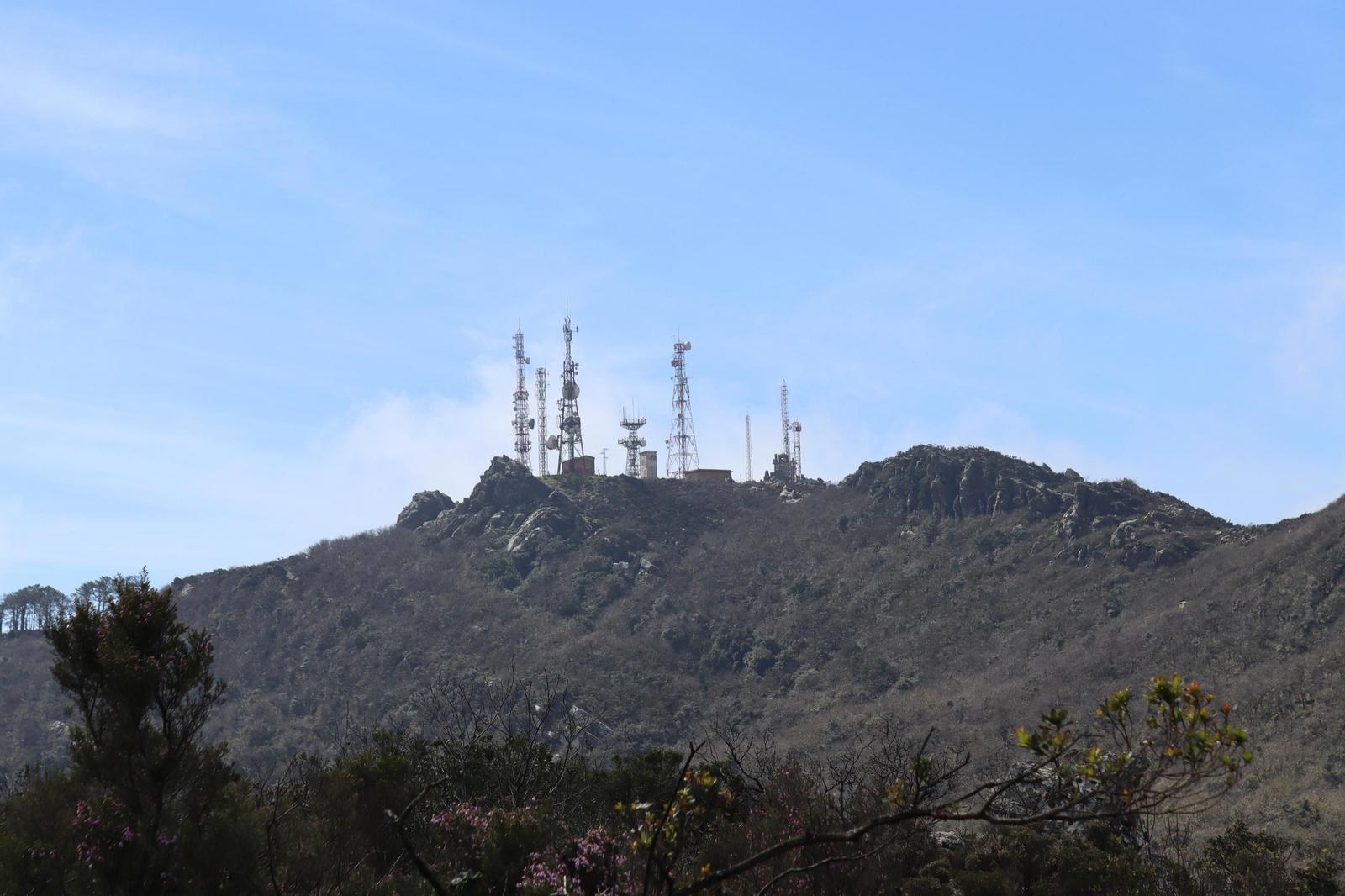 Fotos de la flora y fauna del Parque Natural de Los Alcornocales