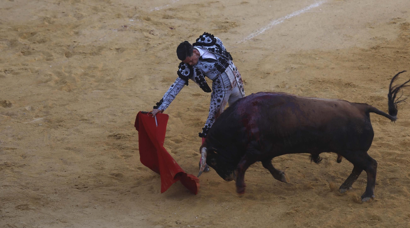 Las fotos de la corrida de toros de David Galván, Daniel Luque y Joaquín Galdós en San Roque