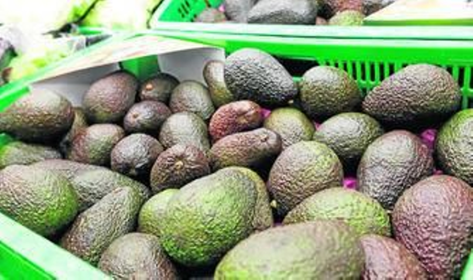 El aguacate que ha comprado Mercadona.