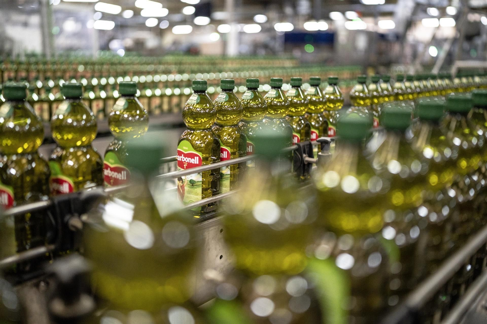 Botellas de aceite de la marca Carbonell en una planta de envasado.