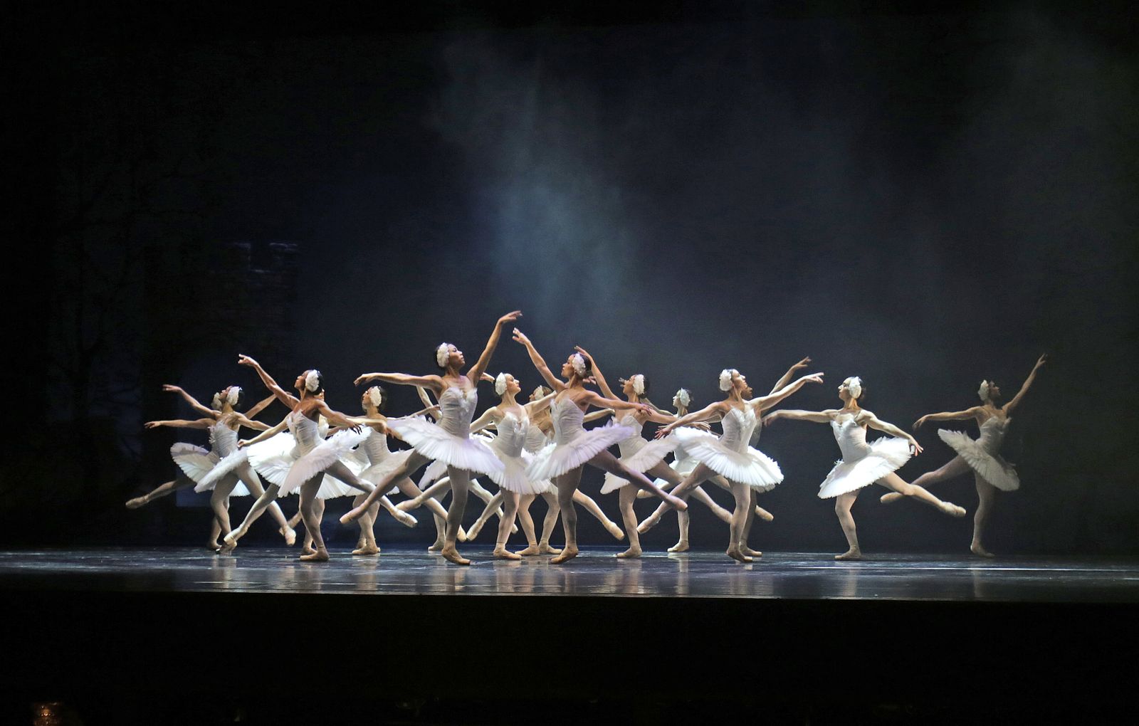 EL LAGO DE LOS CISNES