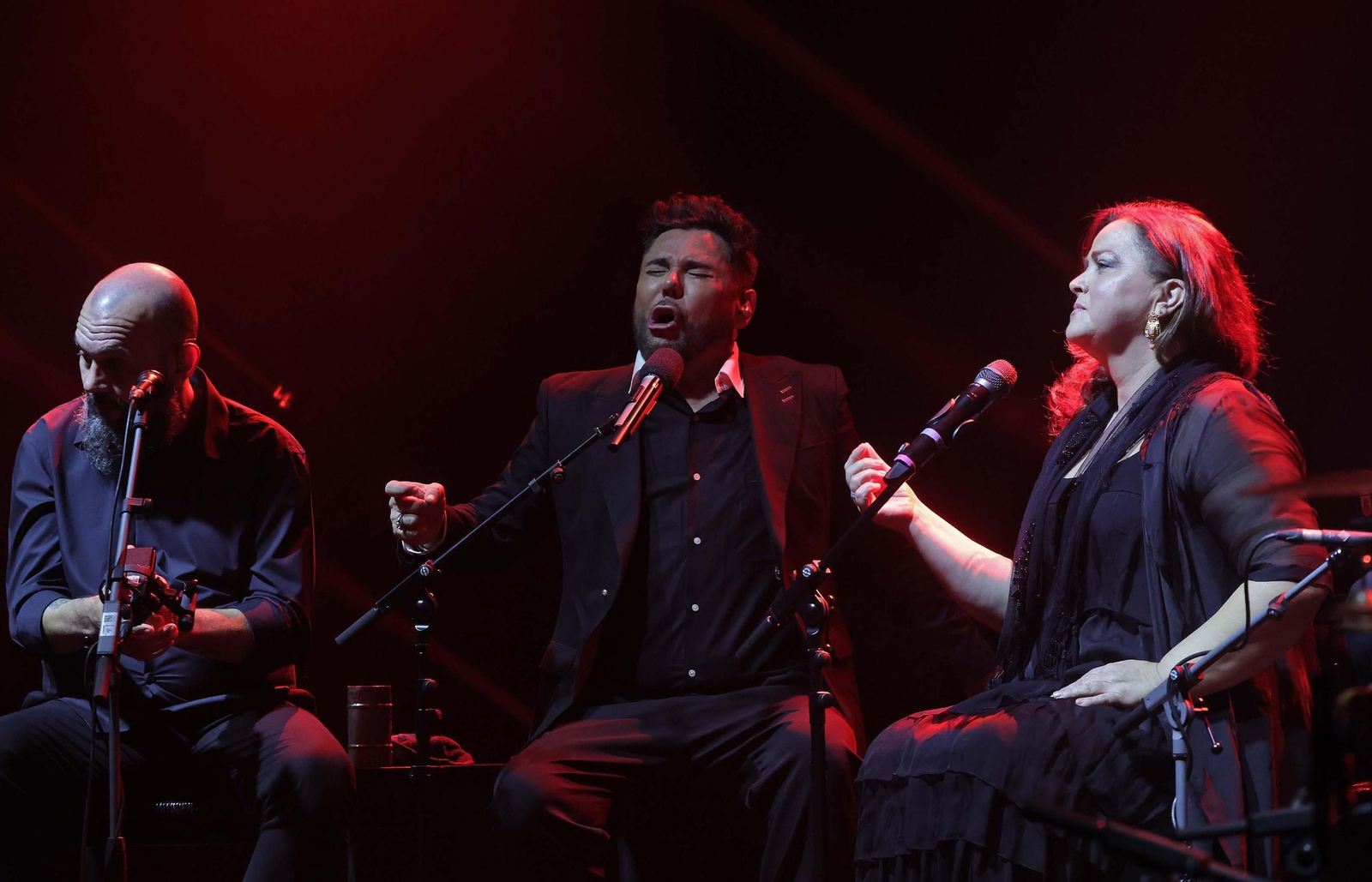 Fotos del concierto de Miguel Poveda en San Roque