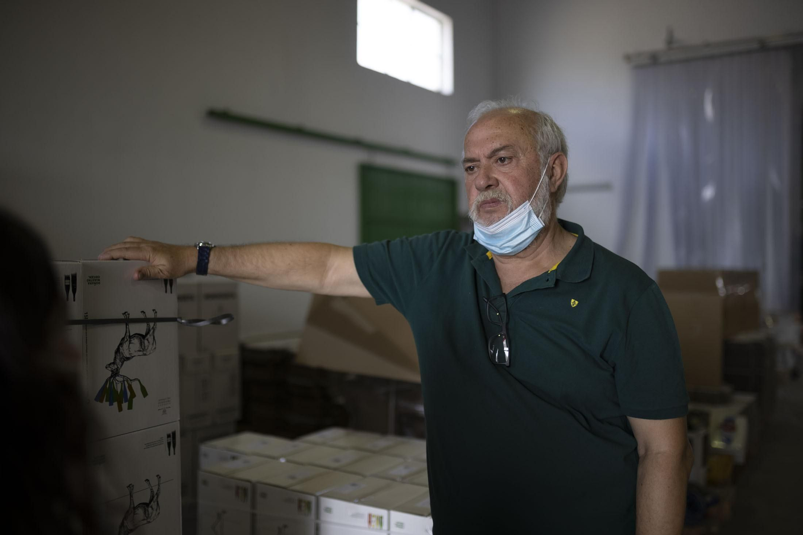 Imágenes de la vendimia en el Condado de Huelva