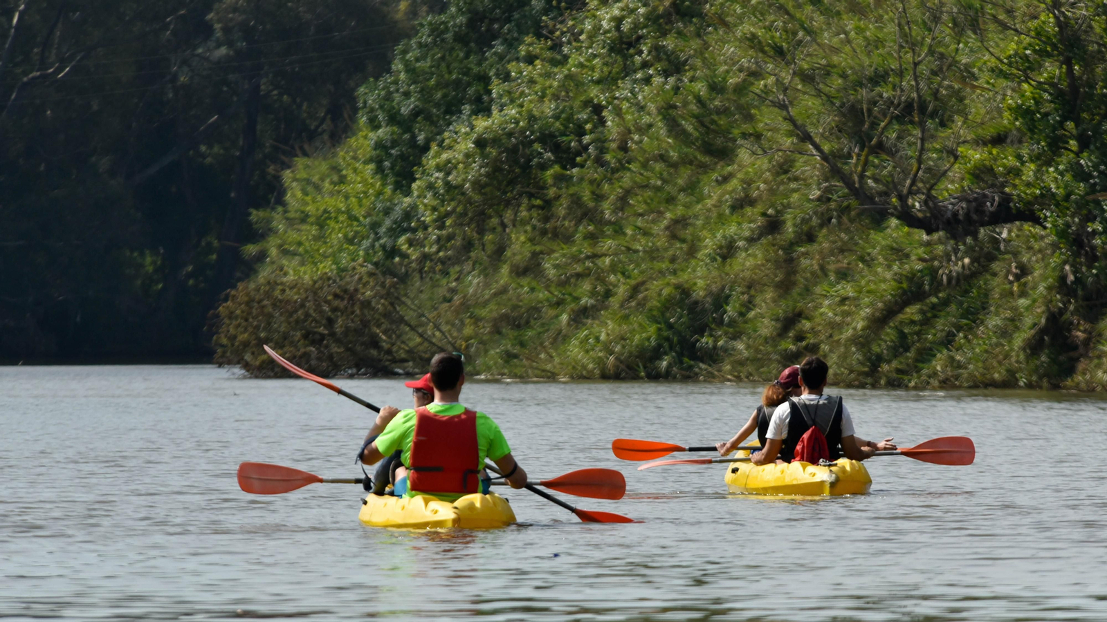 Ruta en kayak por El Palmones