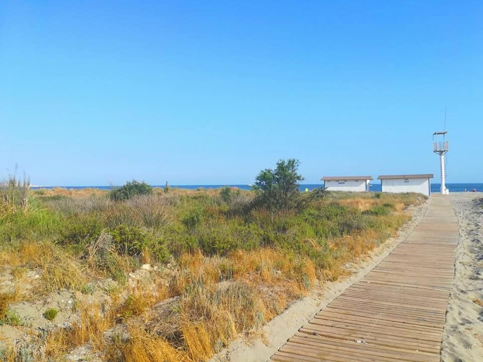 Playa de San Miguel (El Ejido)