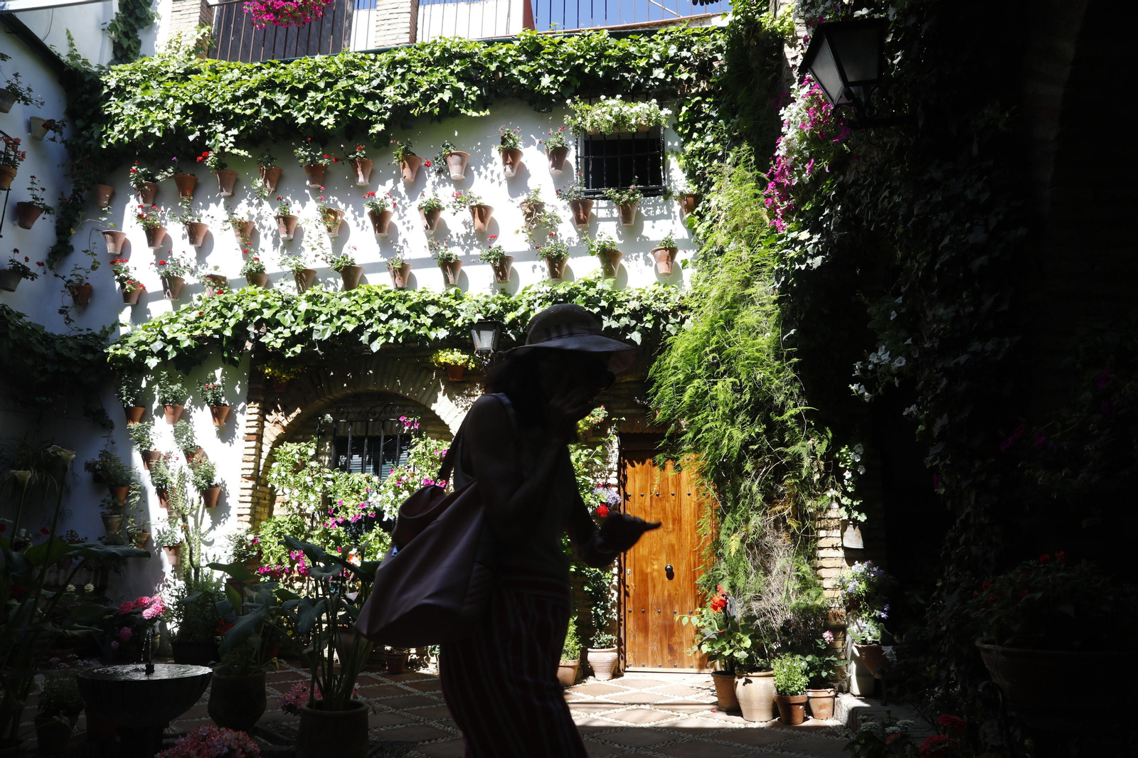 Los Patios de Córdoba se preparan para el fin de semana, en imágenes