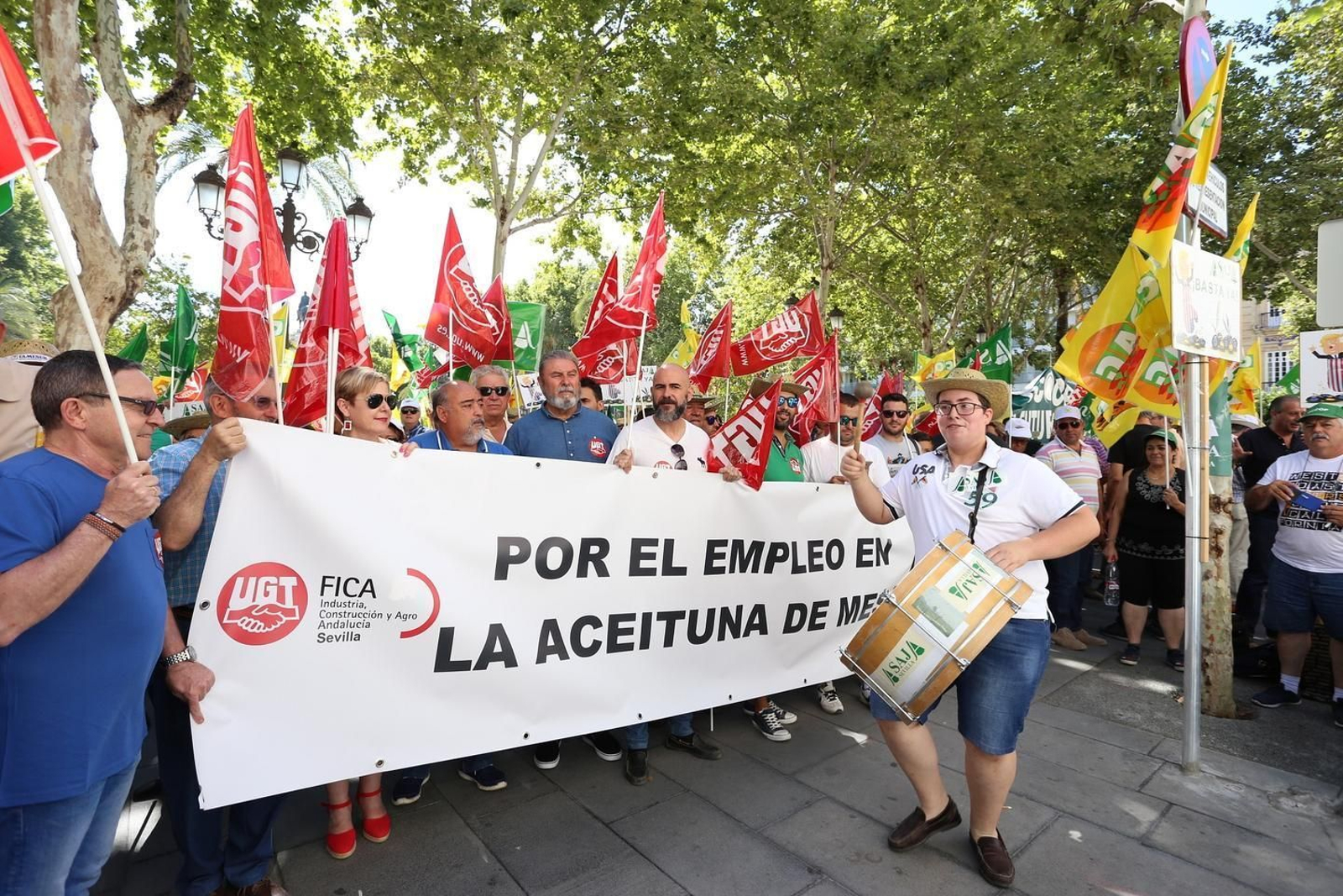 Manifestación en Sevilla en defensa de la aceituna negra