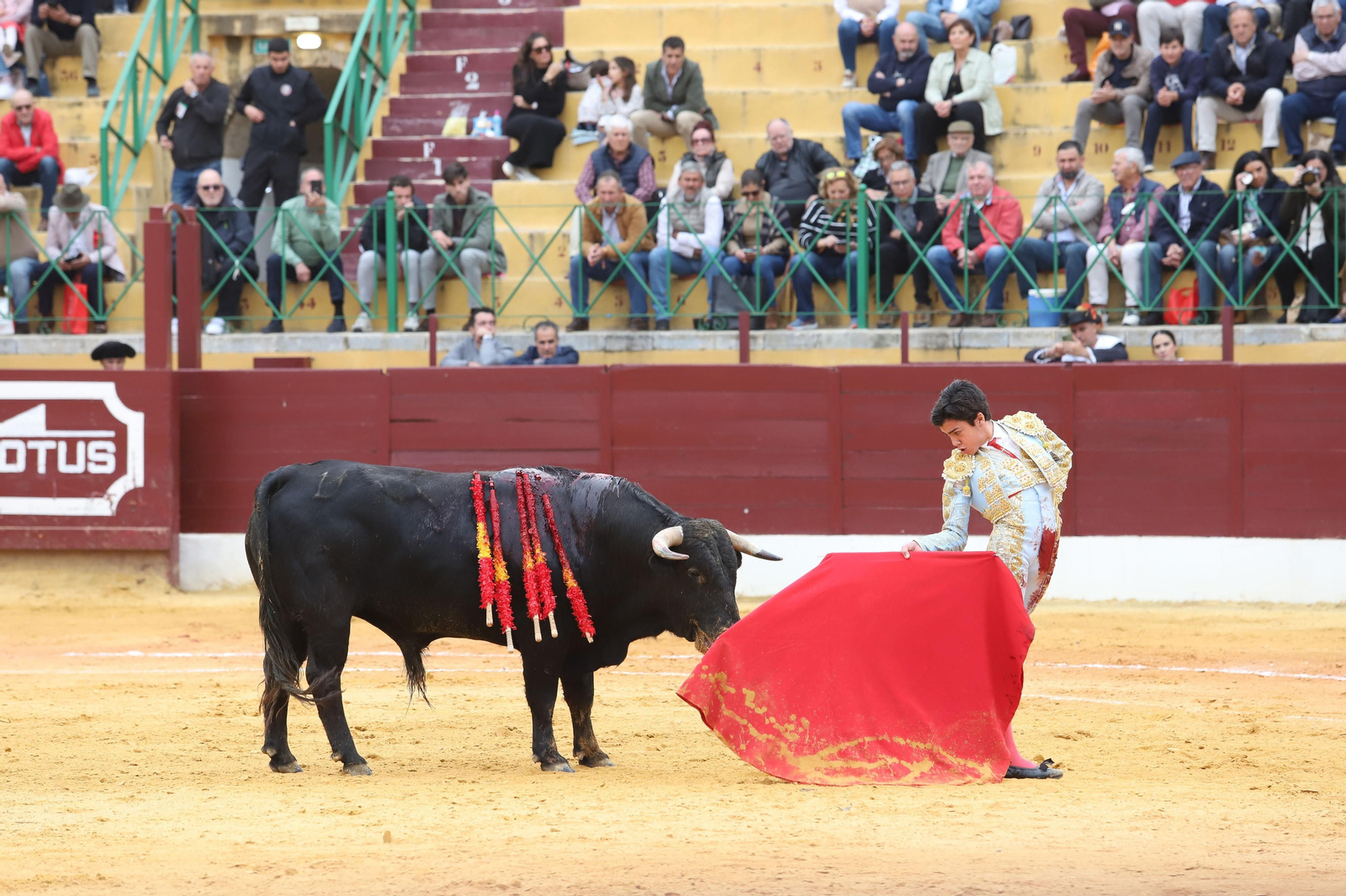 Imágenes de la novillada previa a la Semana Santa en la plaza de toros de La Línea