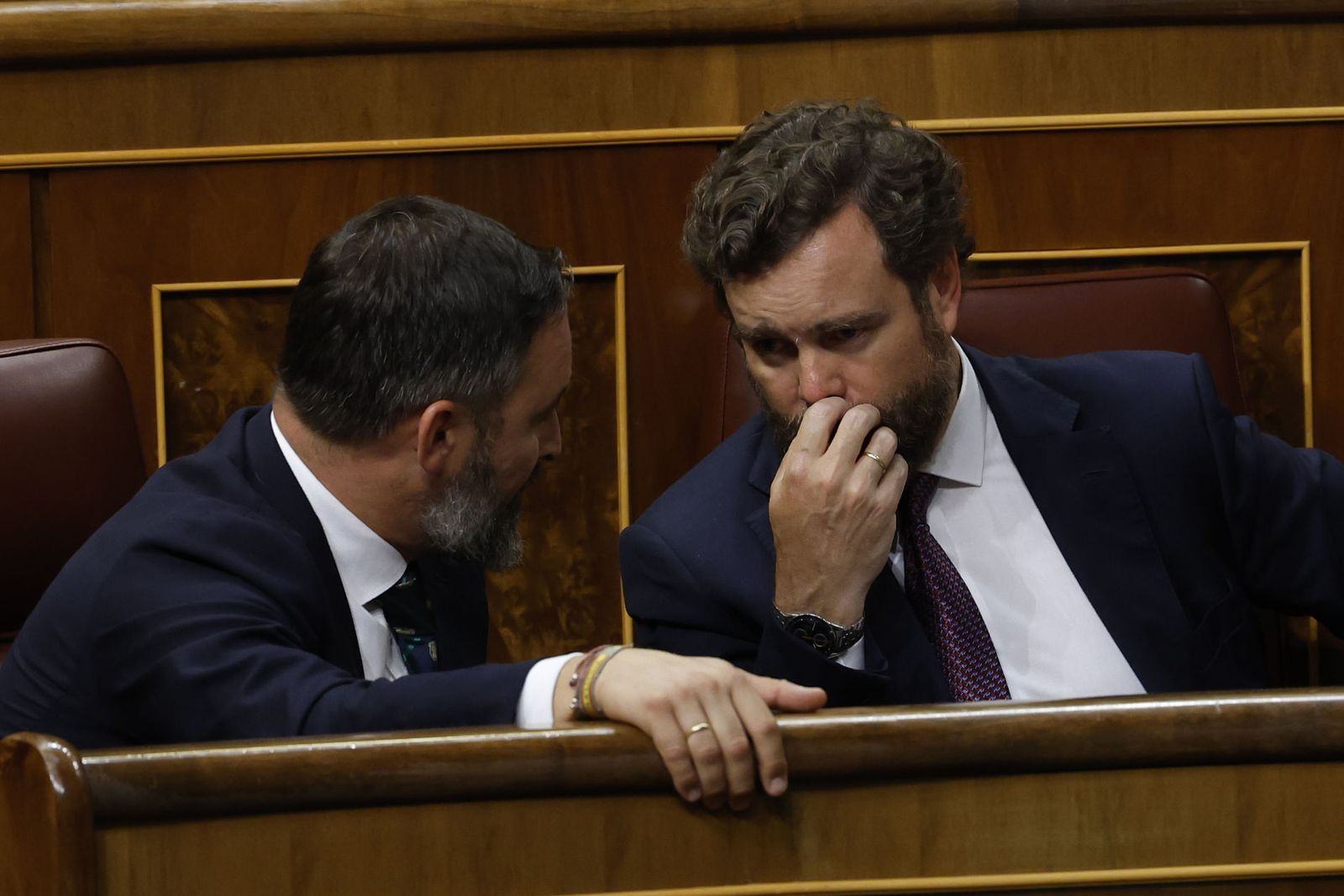 Santiago Abascal e Iván Espinosa de los Monteros.