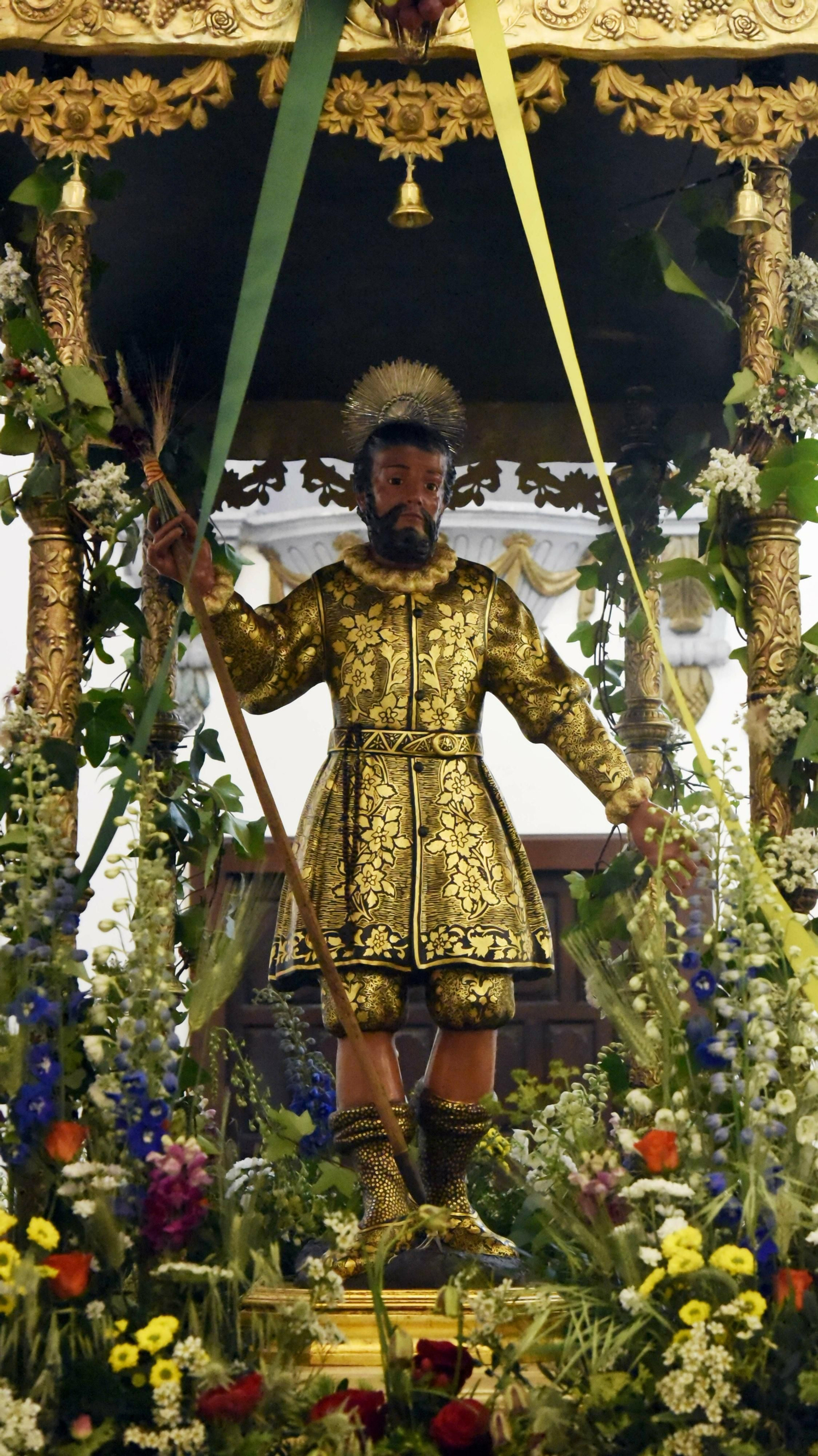 Salida de la Romería de Los Barrios en imágenes