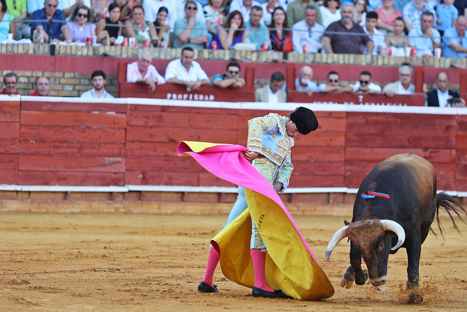 Toros La Merced 2024 Novillada con picadores(
