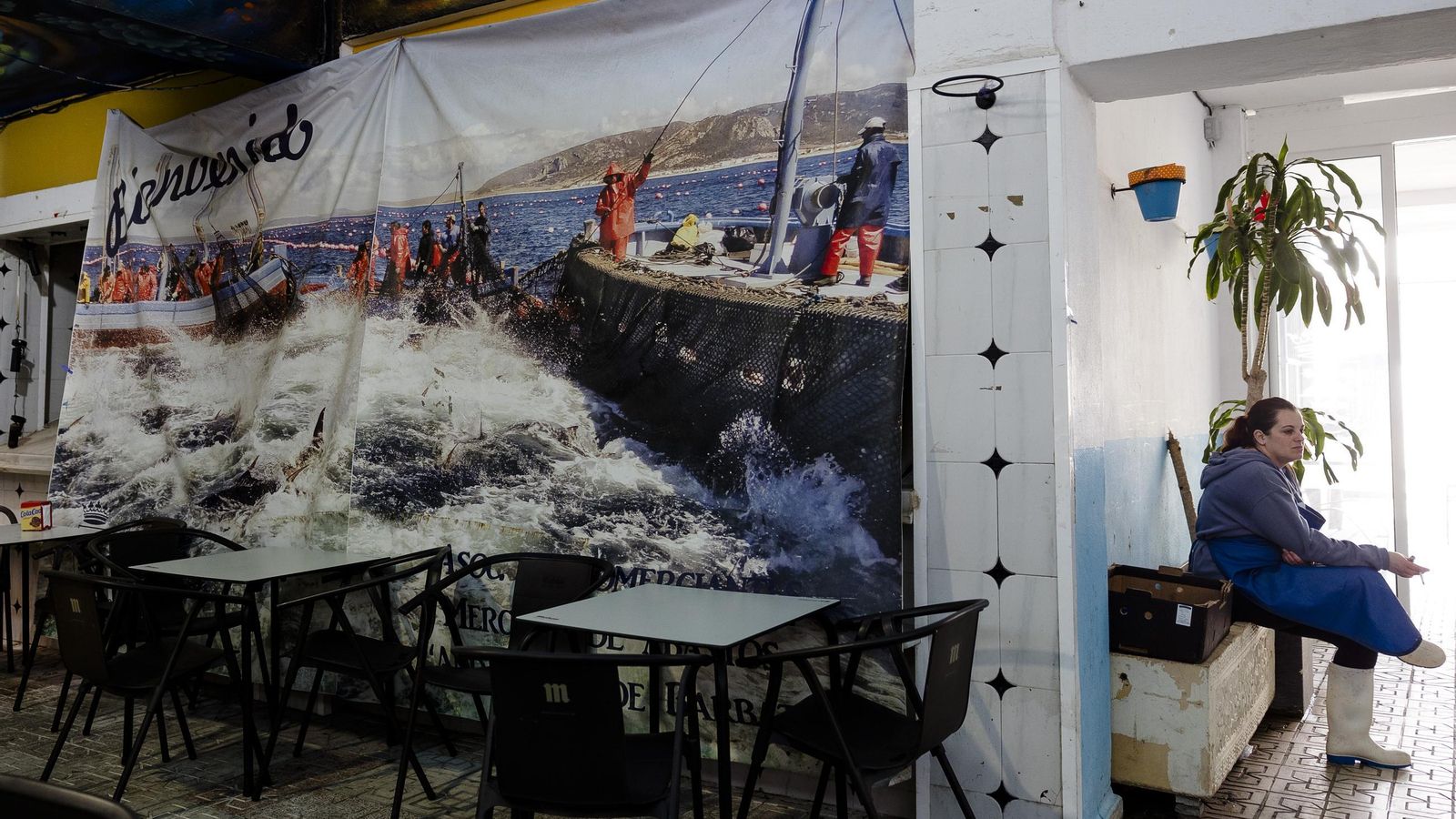 El mercado con una gran lona de una 'levanta' de atún