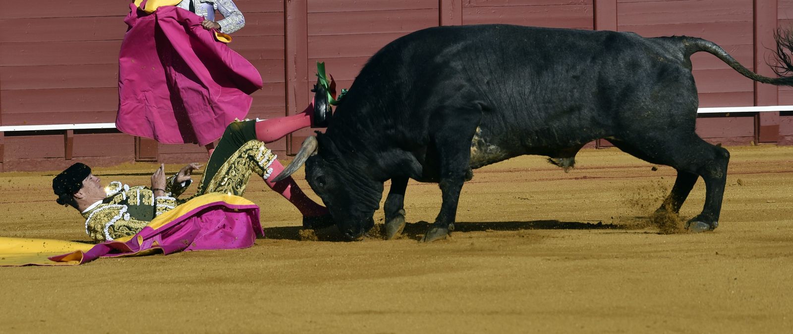 La 14ª de abono en la Real Maestranza de Sevilla, en imágenes