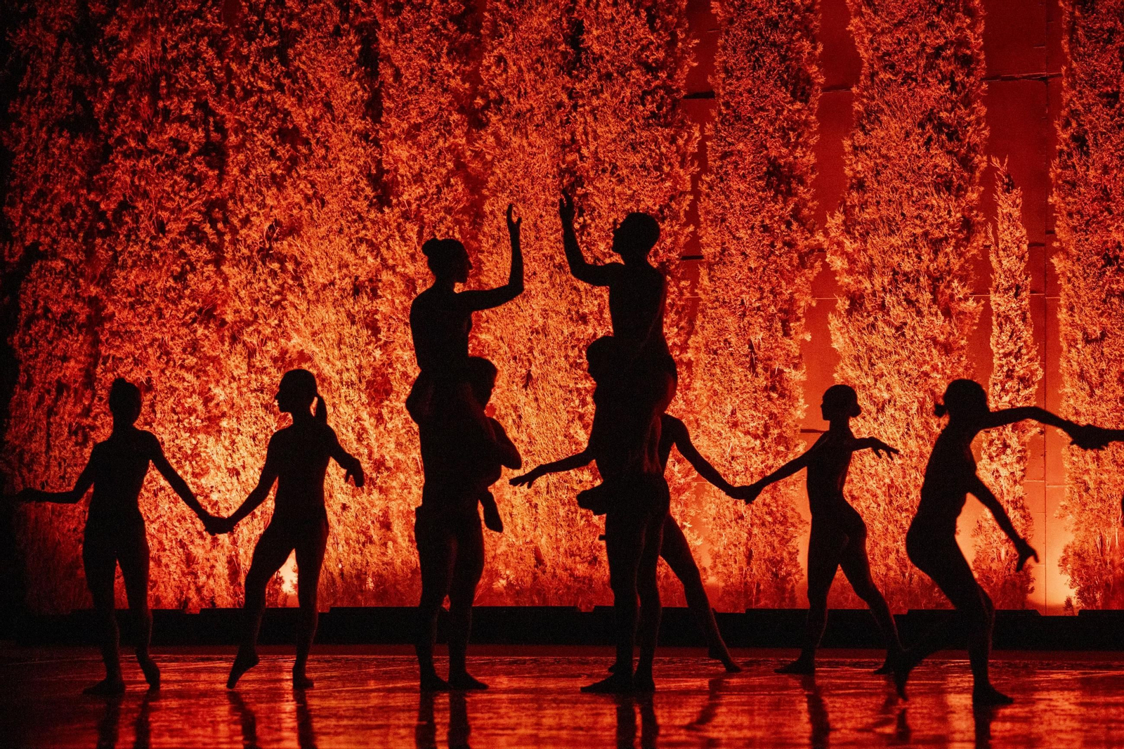 La coreógrafa granadina Blanca Li se presenta con su compañía en el Festival de Música y Danza con Dido y Eneas