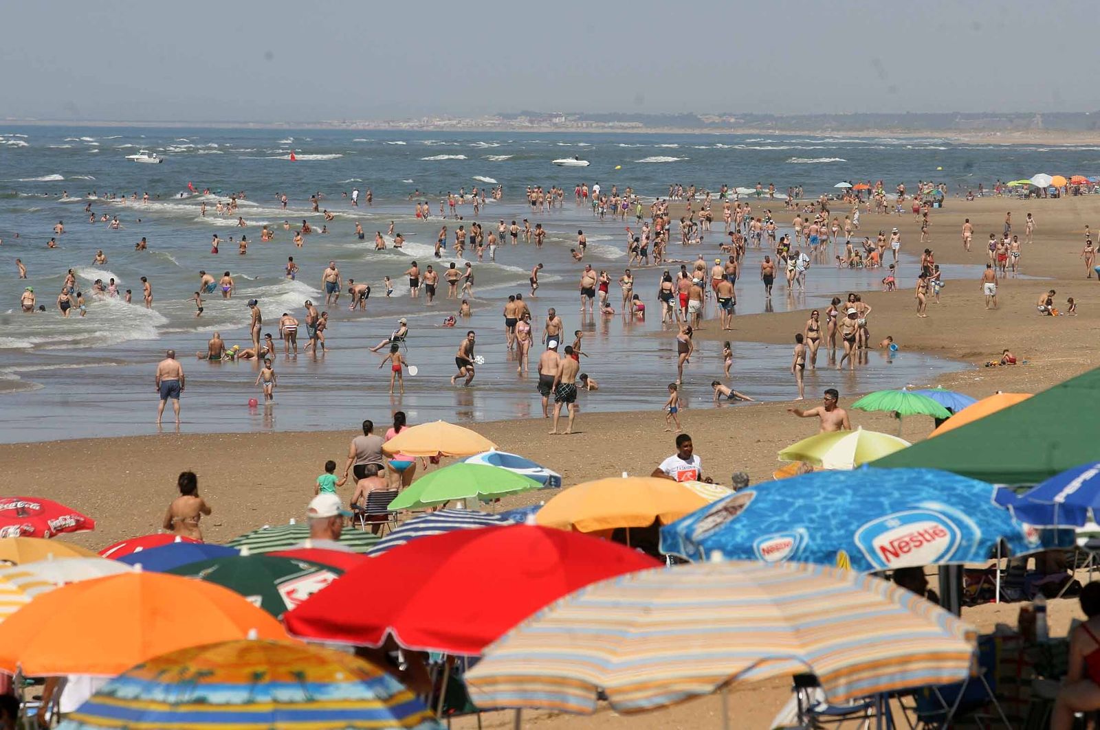 Sectores estratégicos