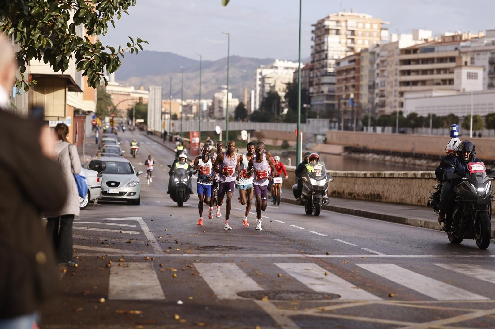 Las fotos de la Maratón de Málaga 2025