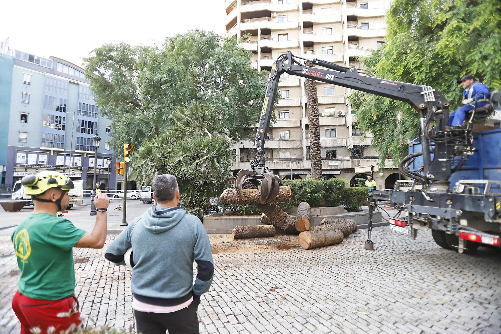 Imágenes de la tala de la emblemática Palmera de Huelva