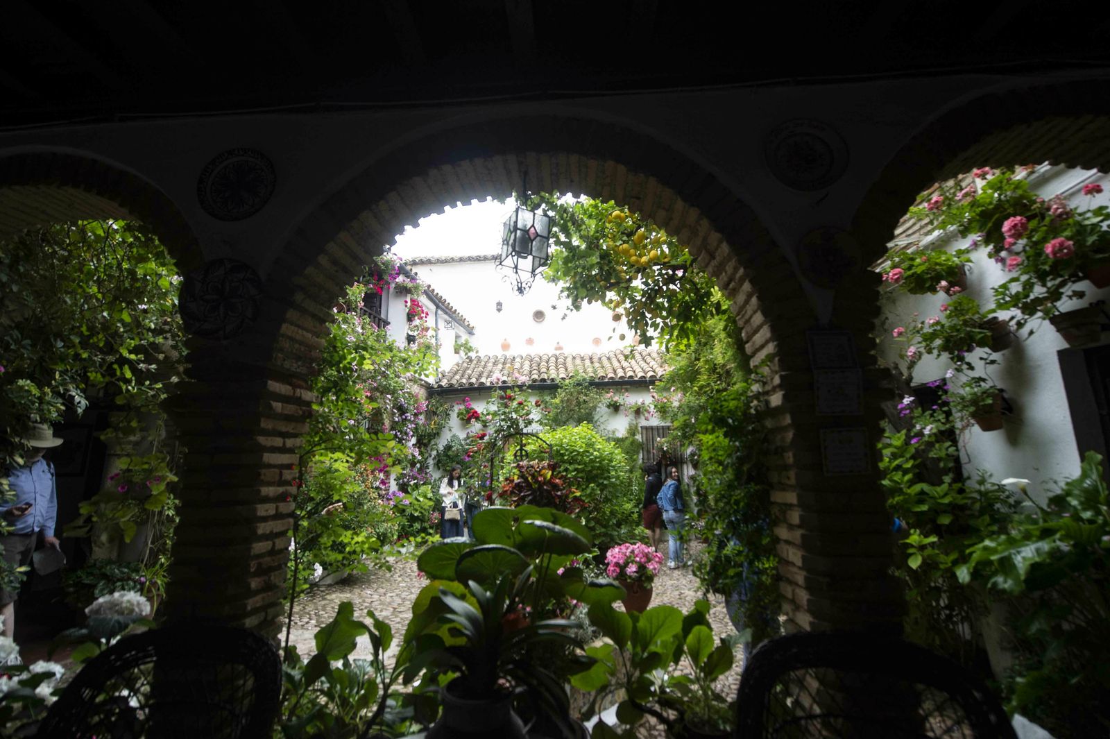 En imágenes: la ruta de los Patios Santa Marina-San Agustín