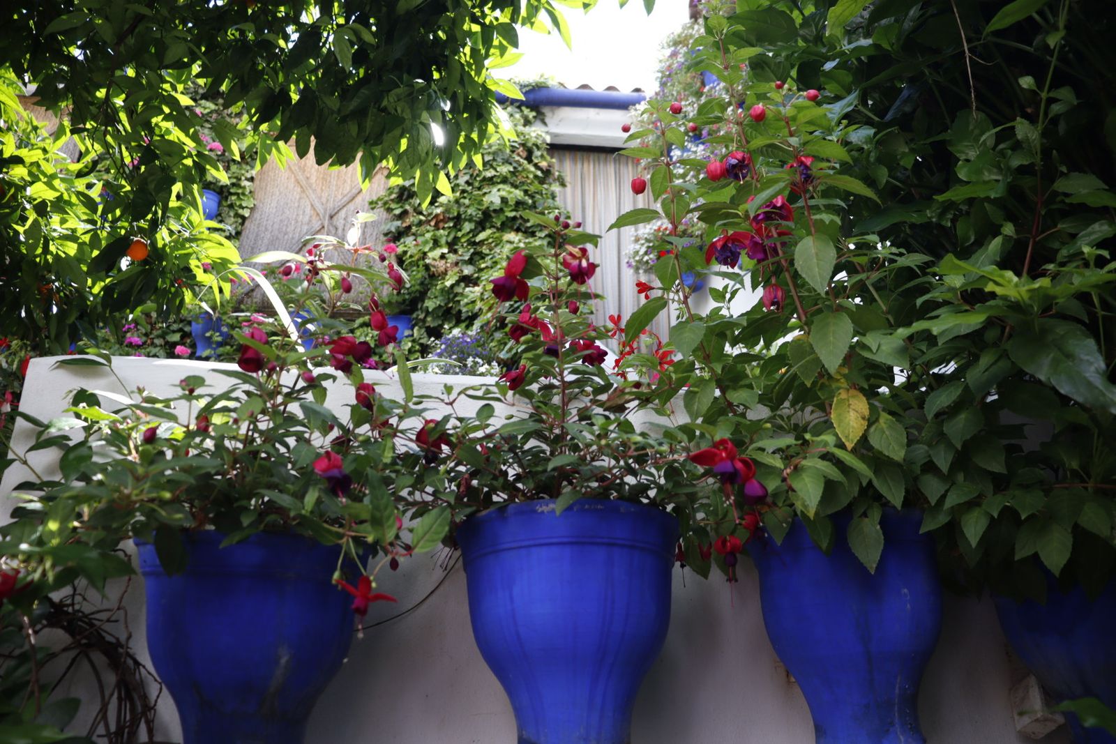 Ruta de los patios de San Lorenzo