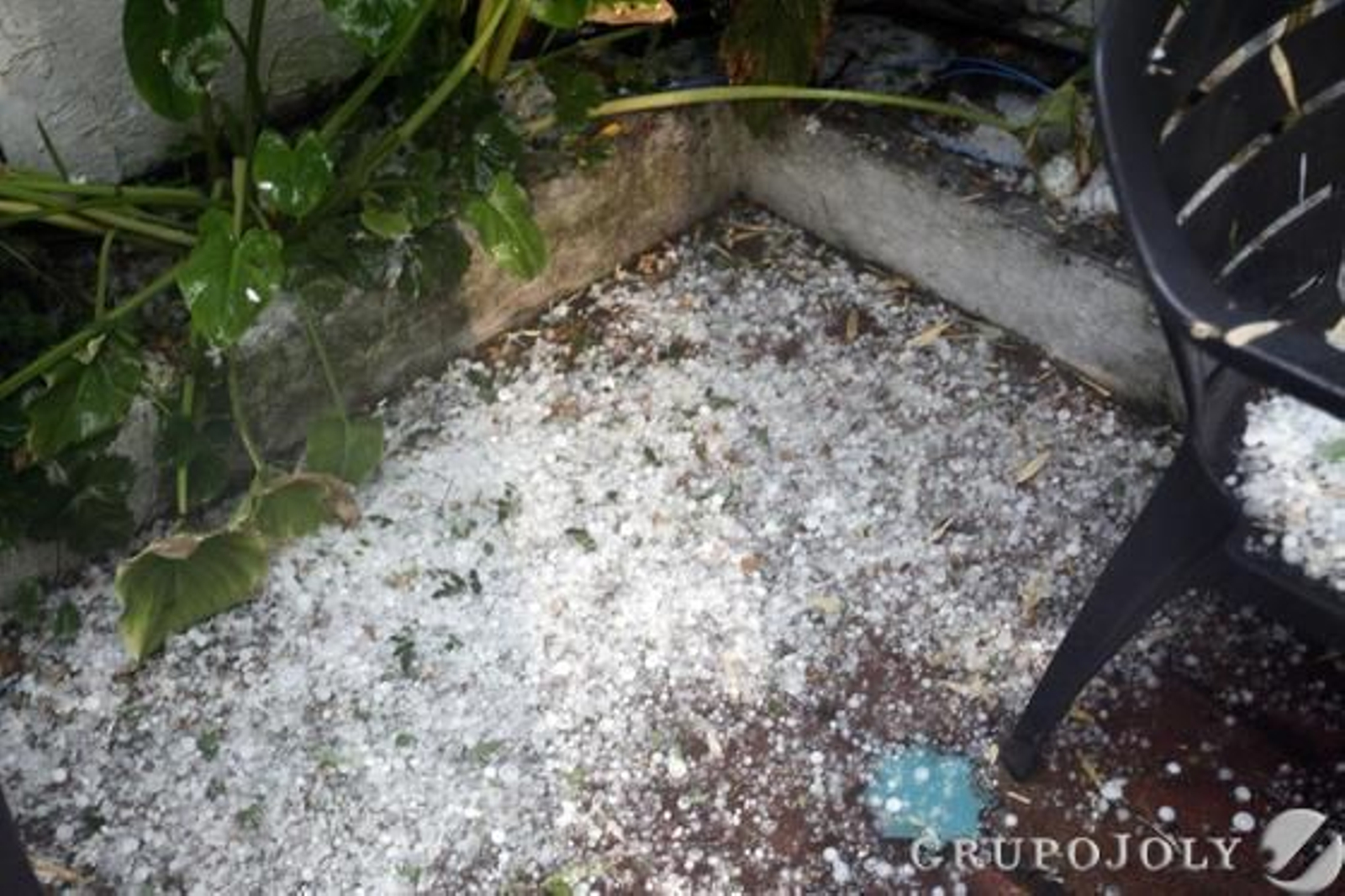 Foto: Pepe Villoslada