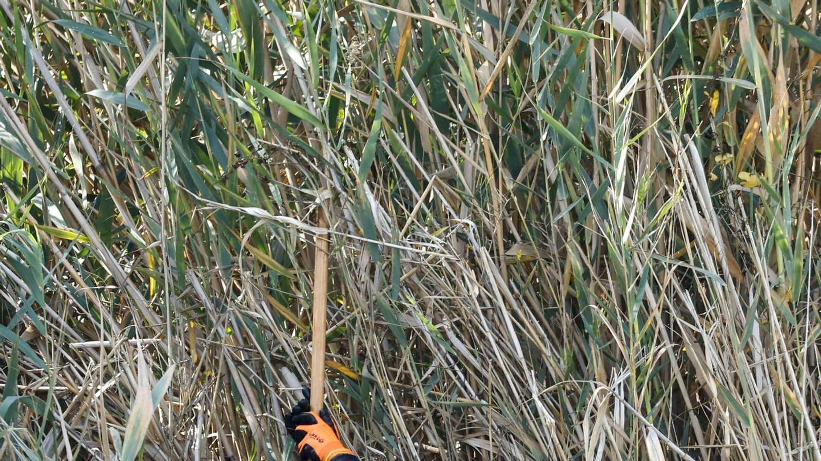 Se intensifican las labores de búsqueda de desaparecidos en Valencia