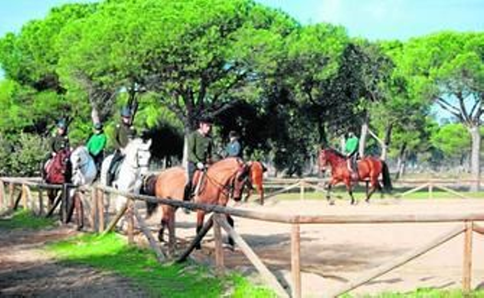 Prácticas de equitación realizadas en el centro Formades de El Rocío.