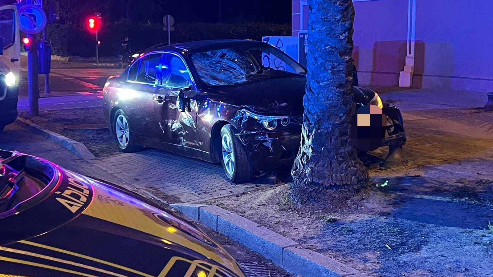 El coche terminó empotrándose contra una palmera.