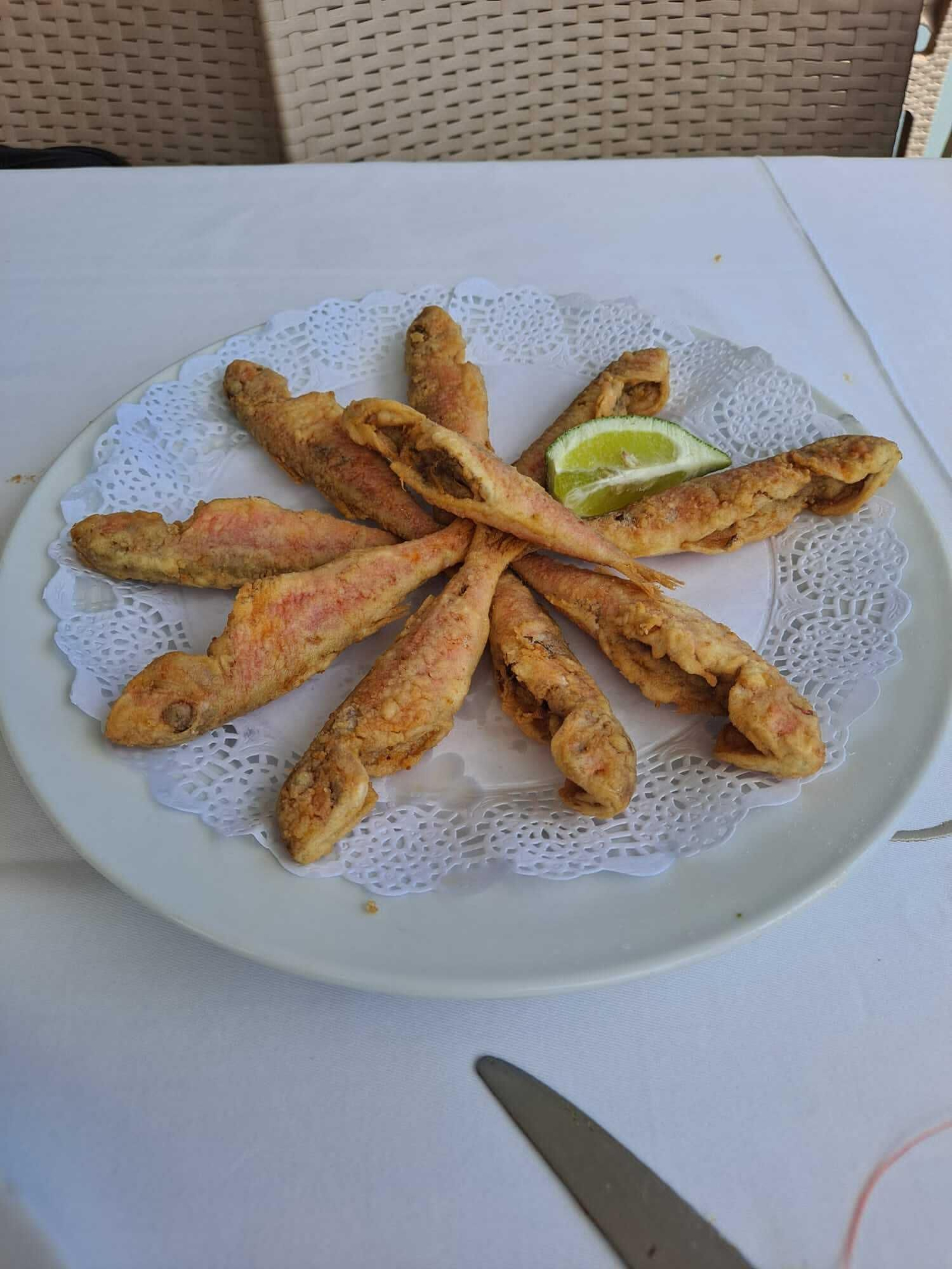 Salmonetes de la bahía.