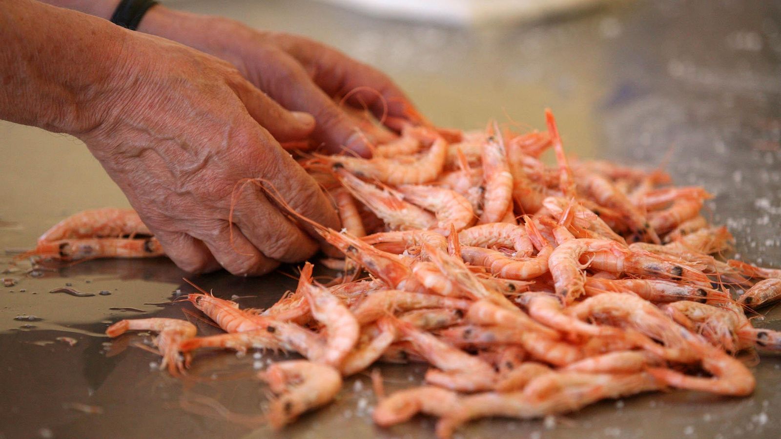Gamba blanca de Huelva