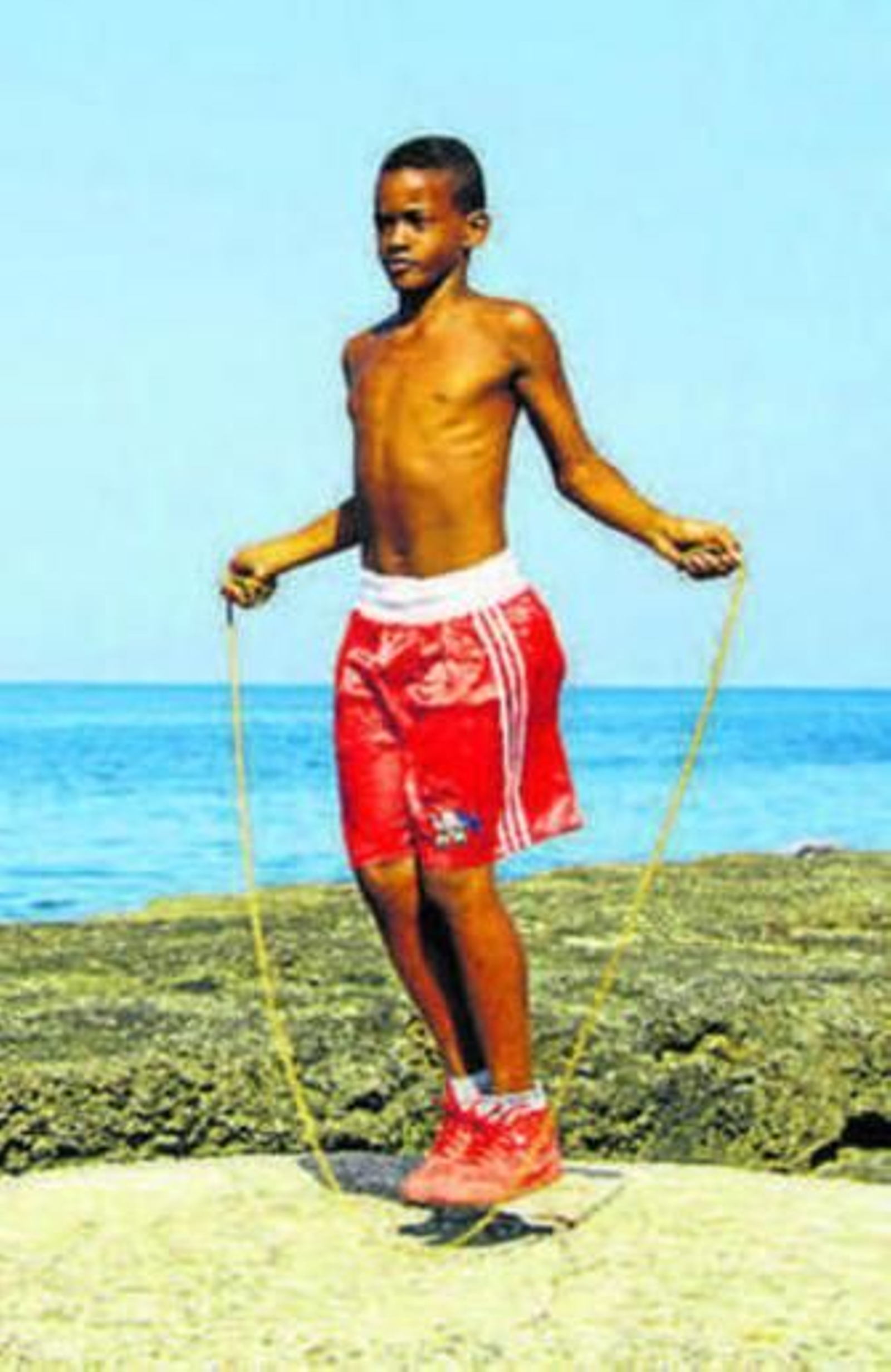 Documental de fórmula