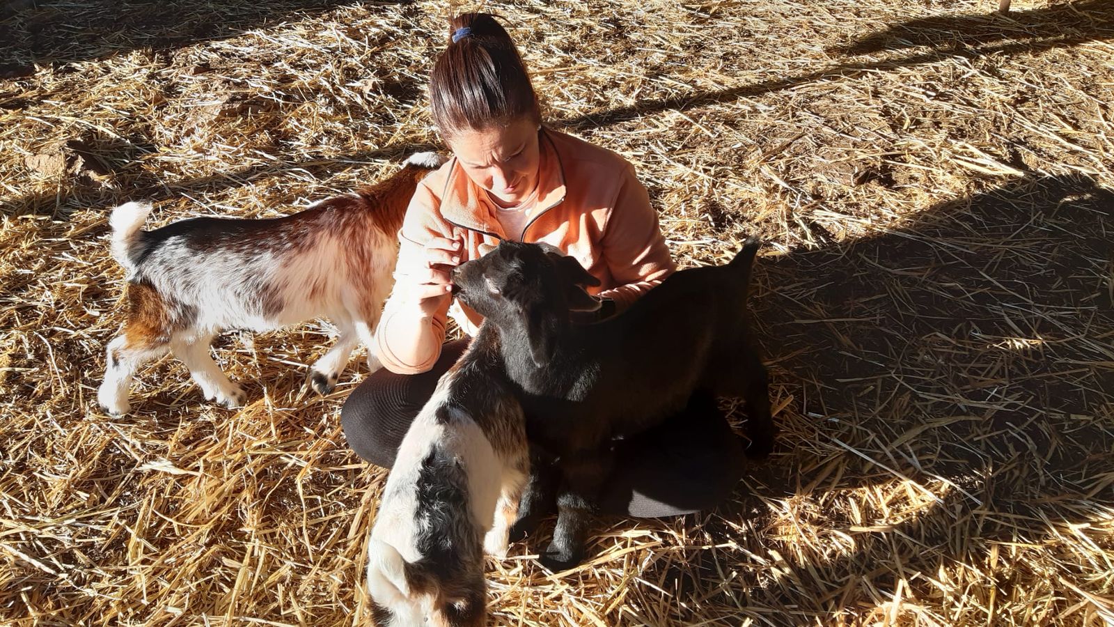 Isabel Pérez, con algunas de sus cabras en su explotación ganadera.