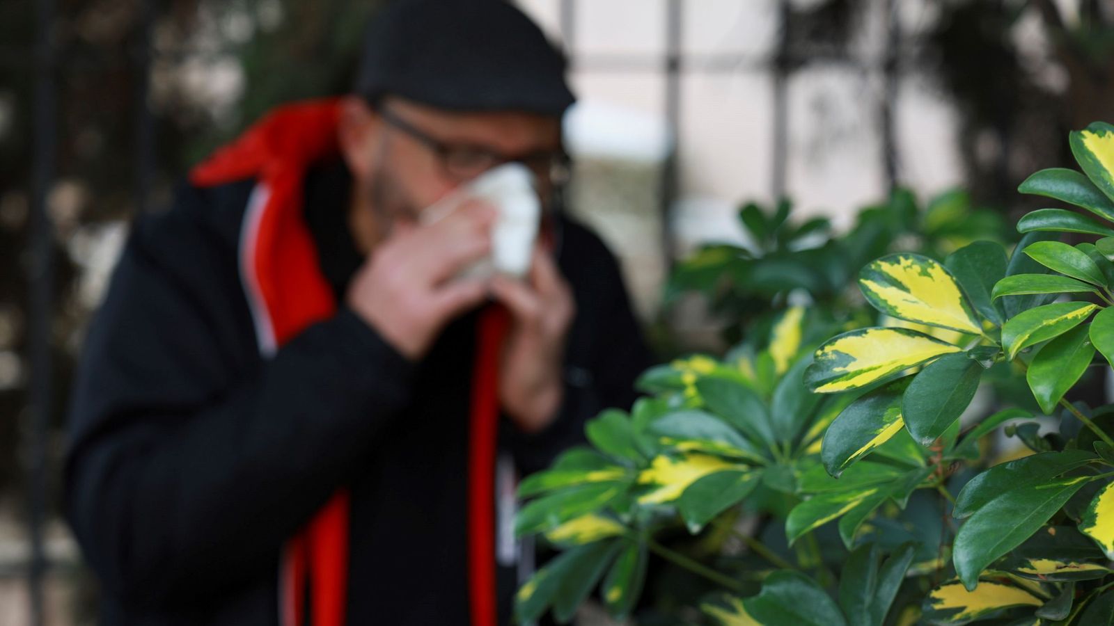 Se adelanta la época de alergias tras las últimas lluvias