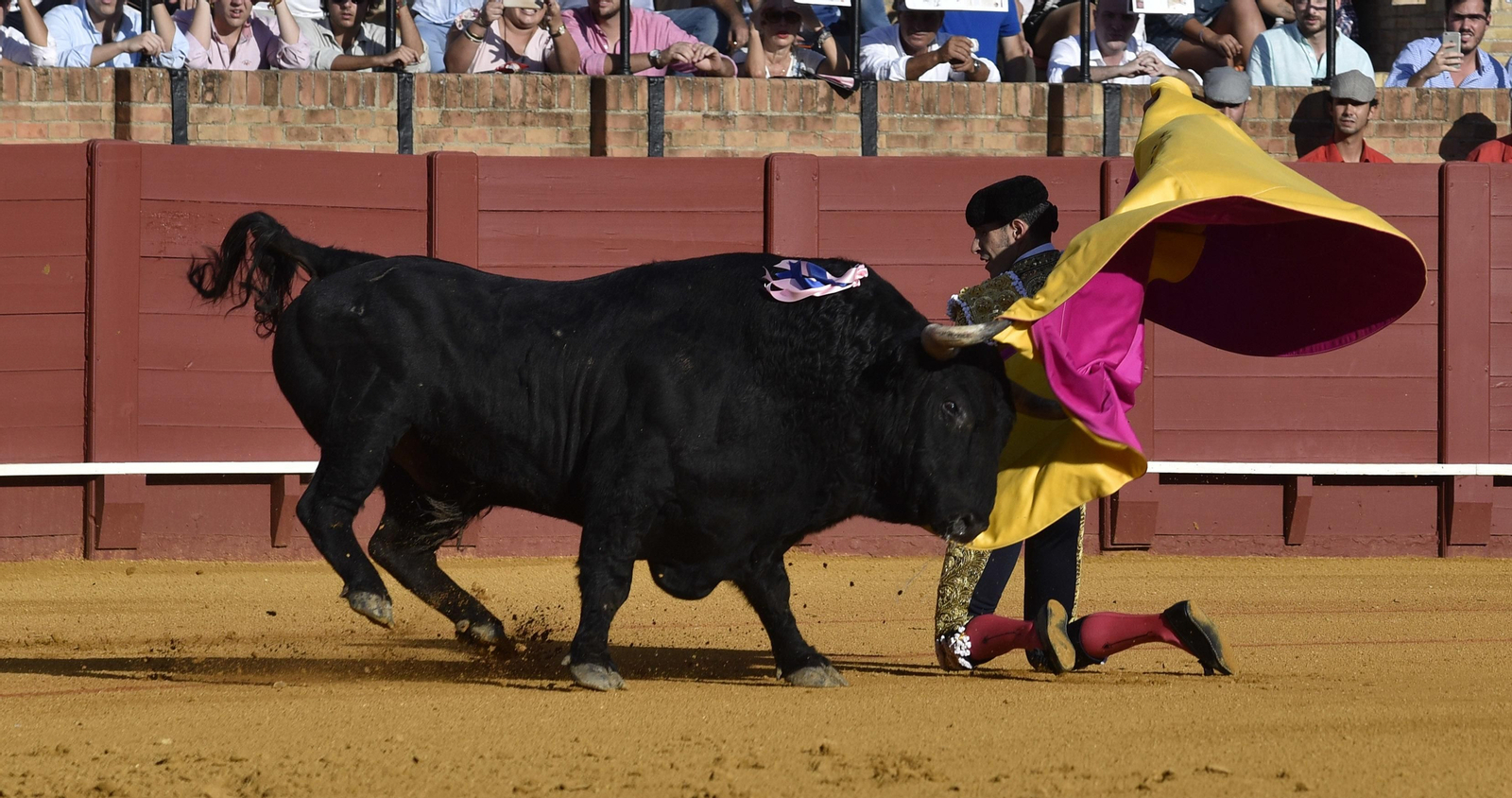 La segunda corrida de la Feria de San Miguel, en imágenes