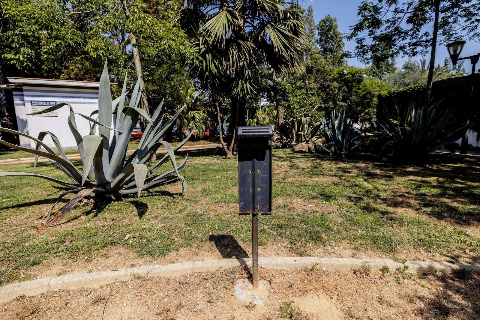 Las zonas verdes menos verdes de la ciudad de Cádiz