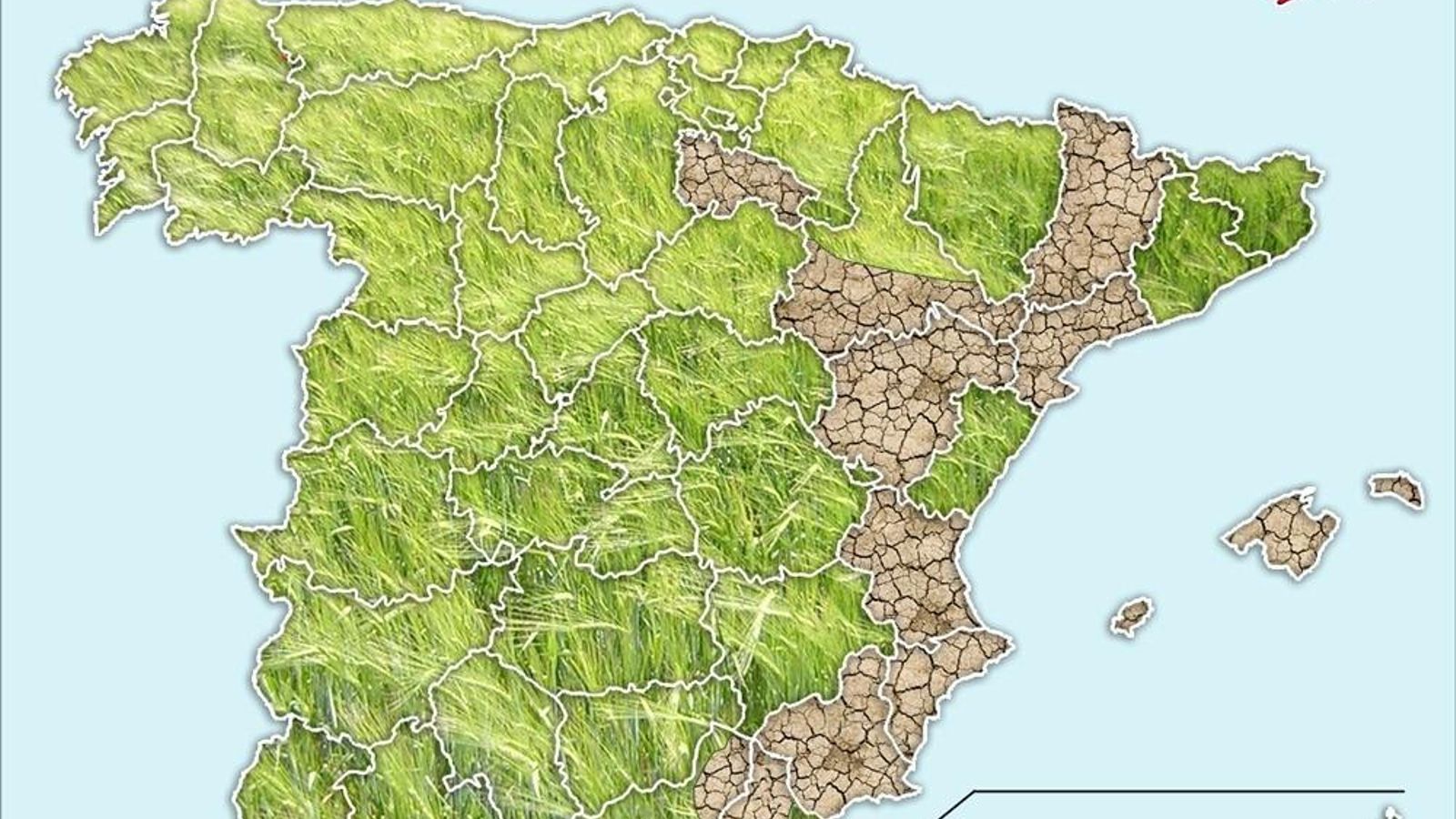 Zonas más castigadas por la sequía para esta campaña de cereal.