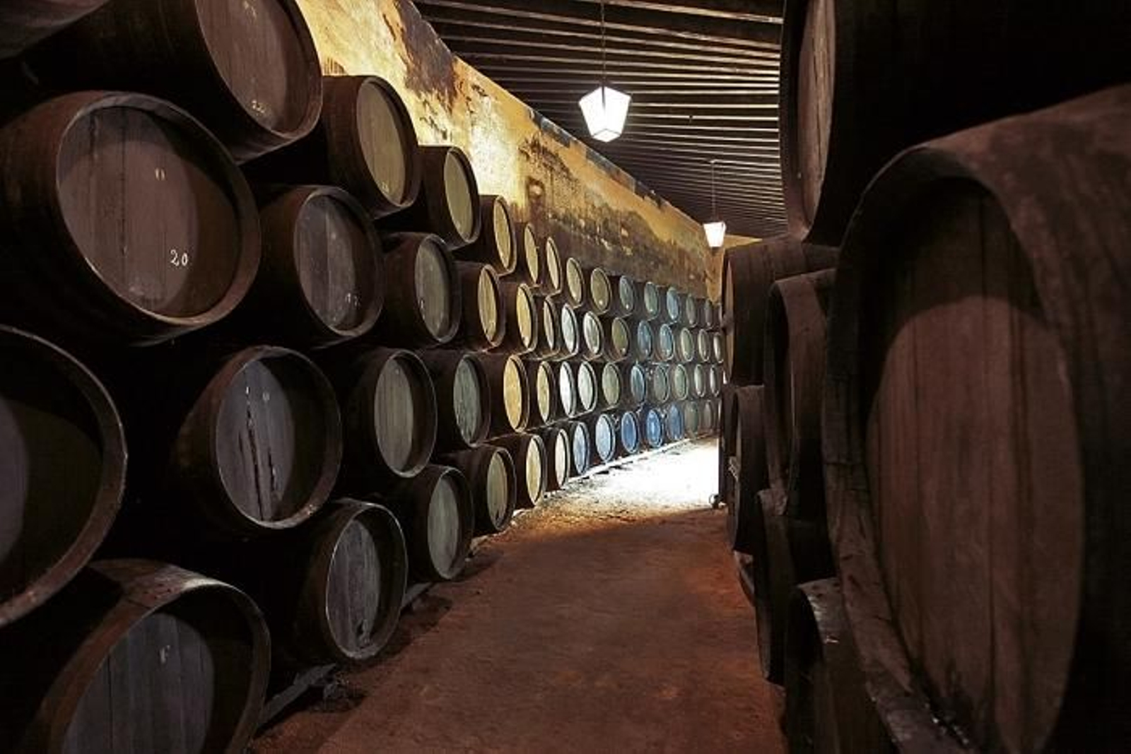 Bodegas Rey Fernando de Castilla