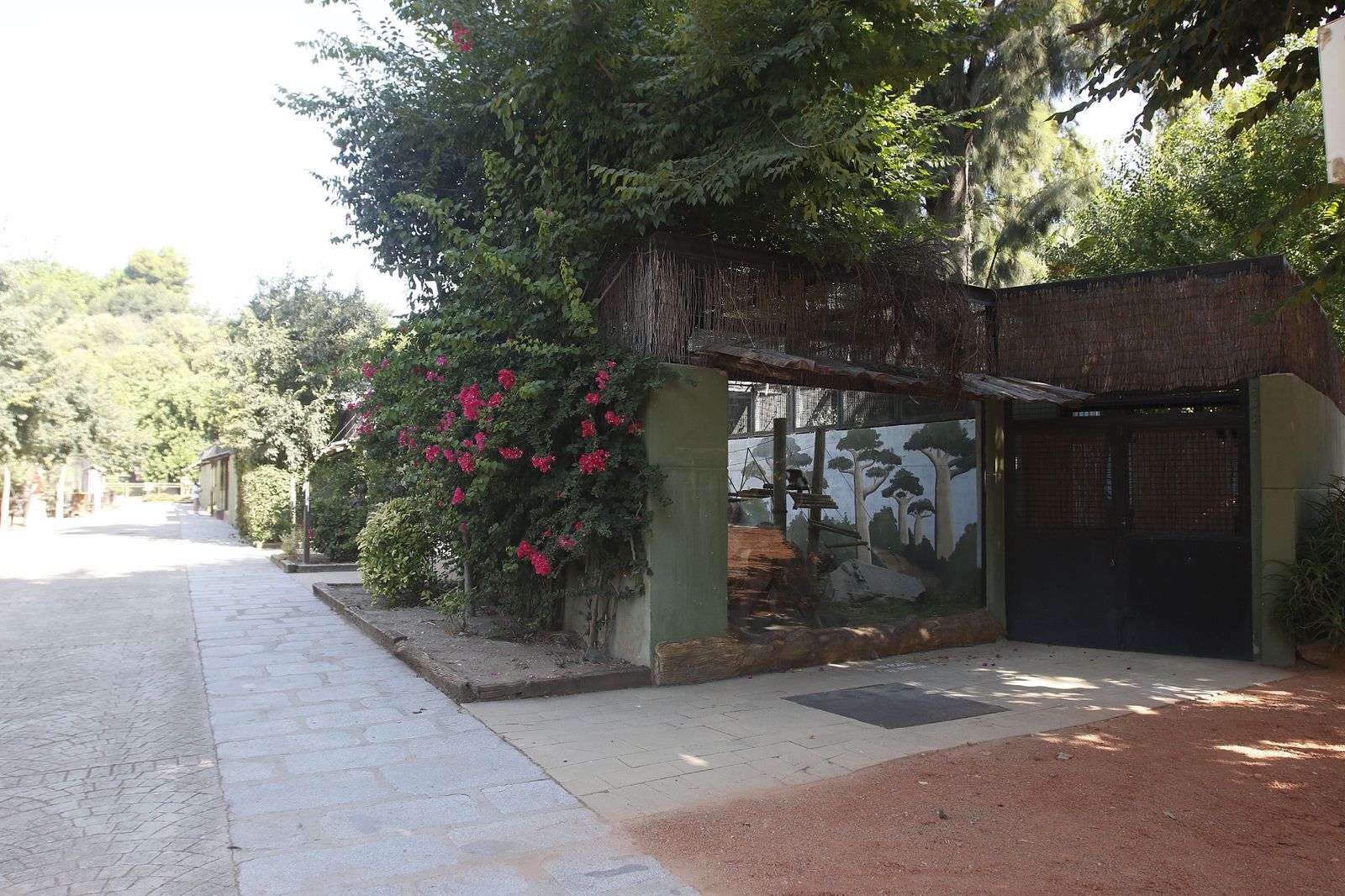 Las fotografías de la reapertura del Zoo de Córdoba tras el coronavirus