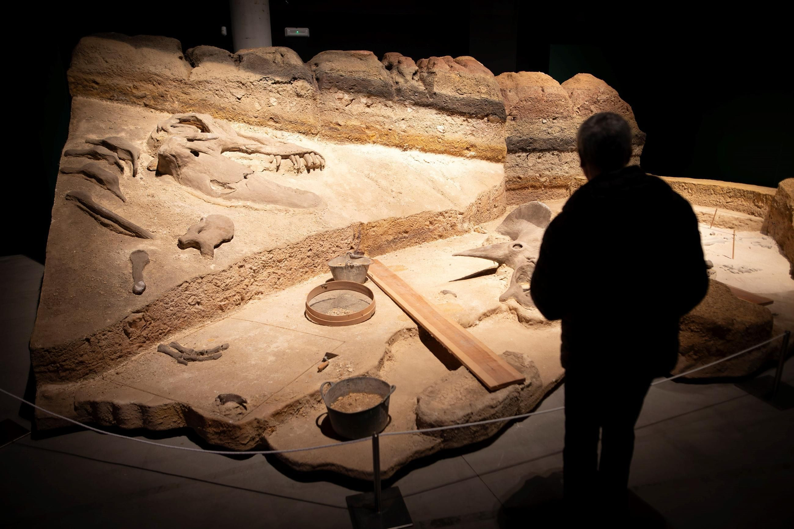 Así se han apoderado los dinosaurios del Parque de las Ciencias de Granada