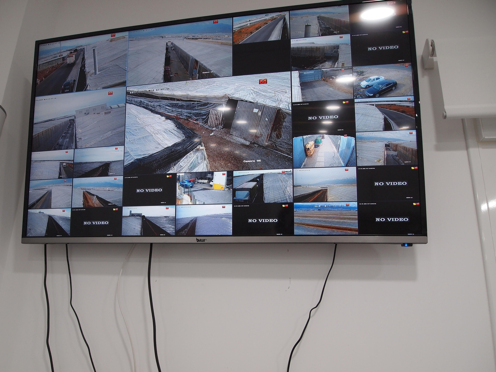 Viaje al interior de los invernaderos de última generación para el cultivo del cáñamo