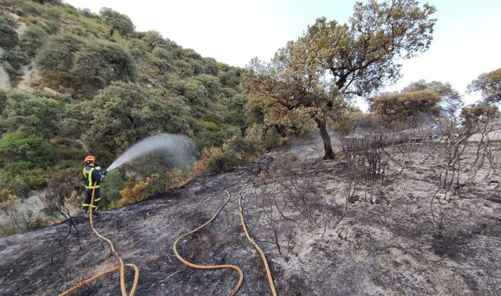 Bomberos del Consorcio de Córdoba, durante una intervención.