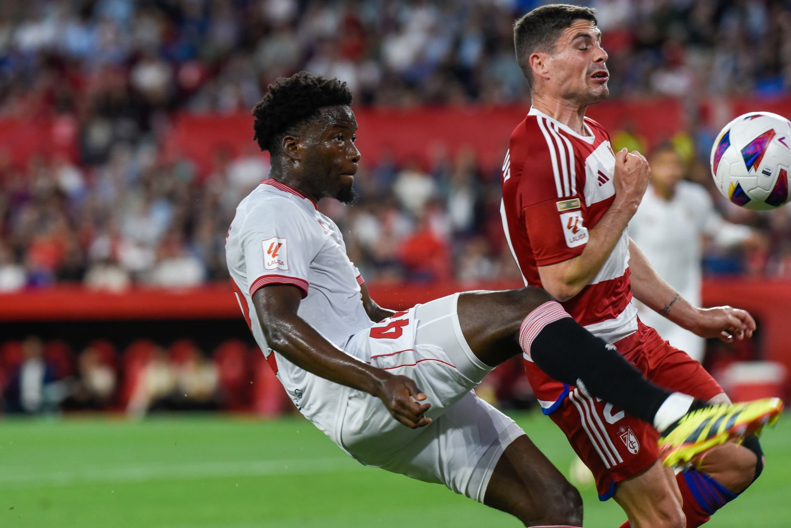 Las imágenes del Sevilla FC - Granada CF