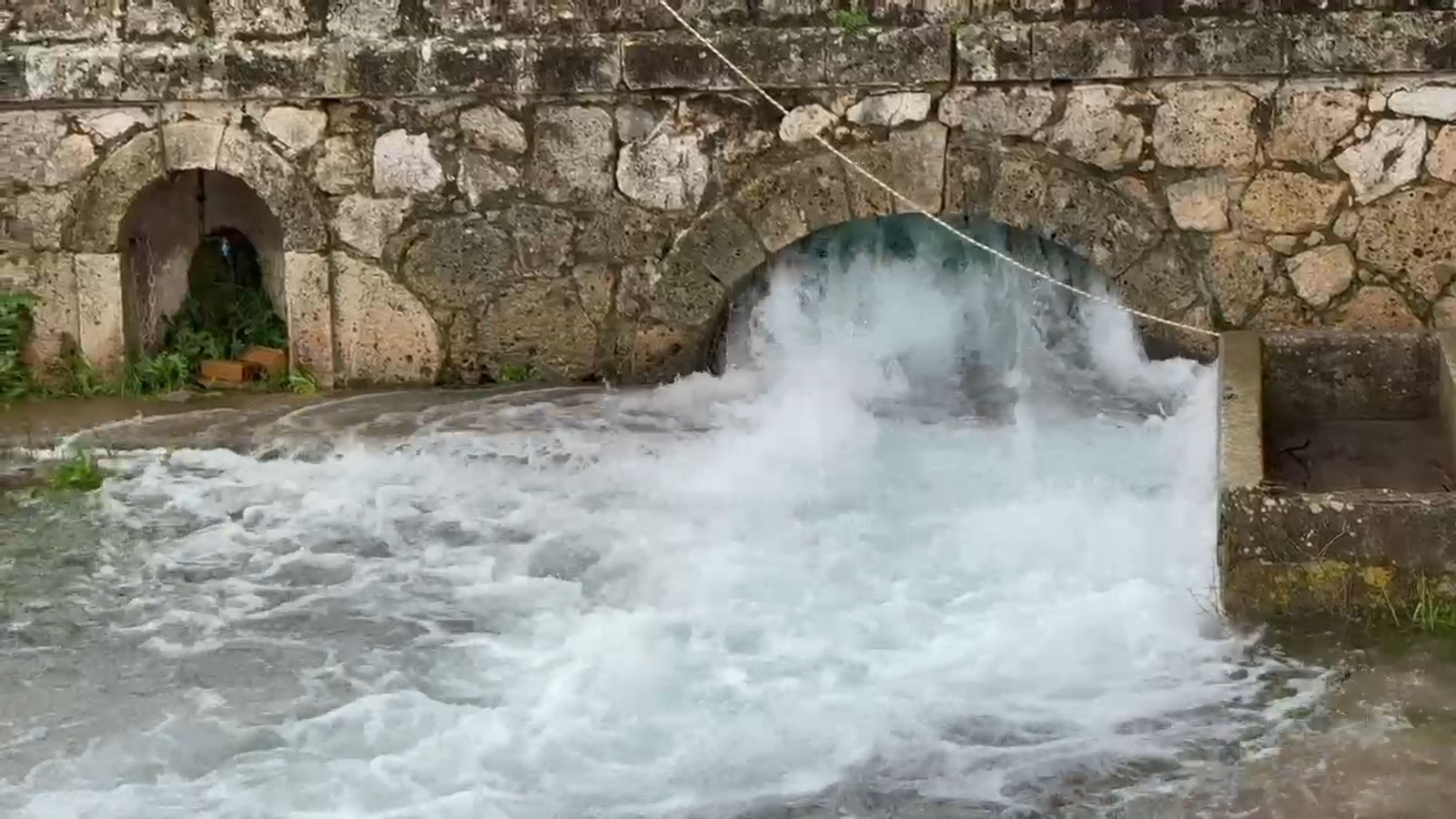 Así brota el agua en el Manantial del Tempul