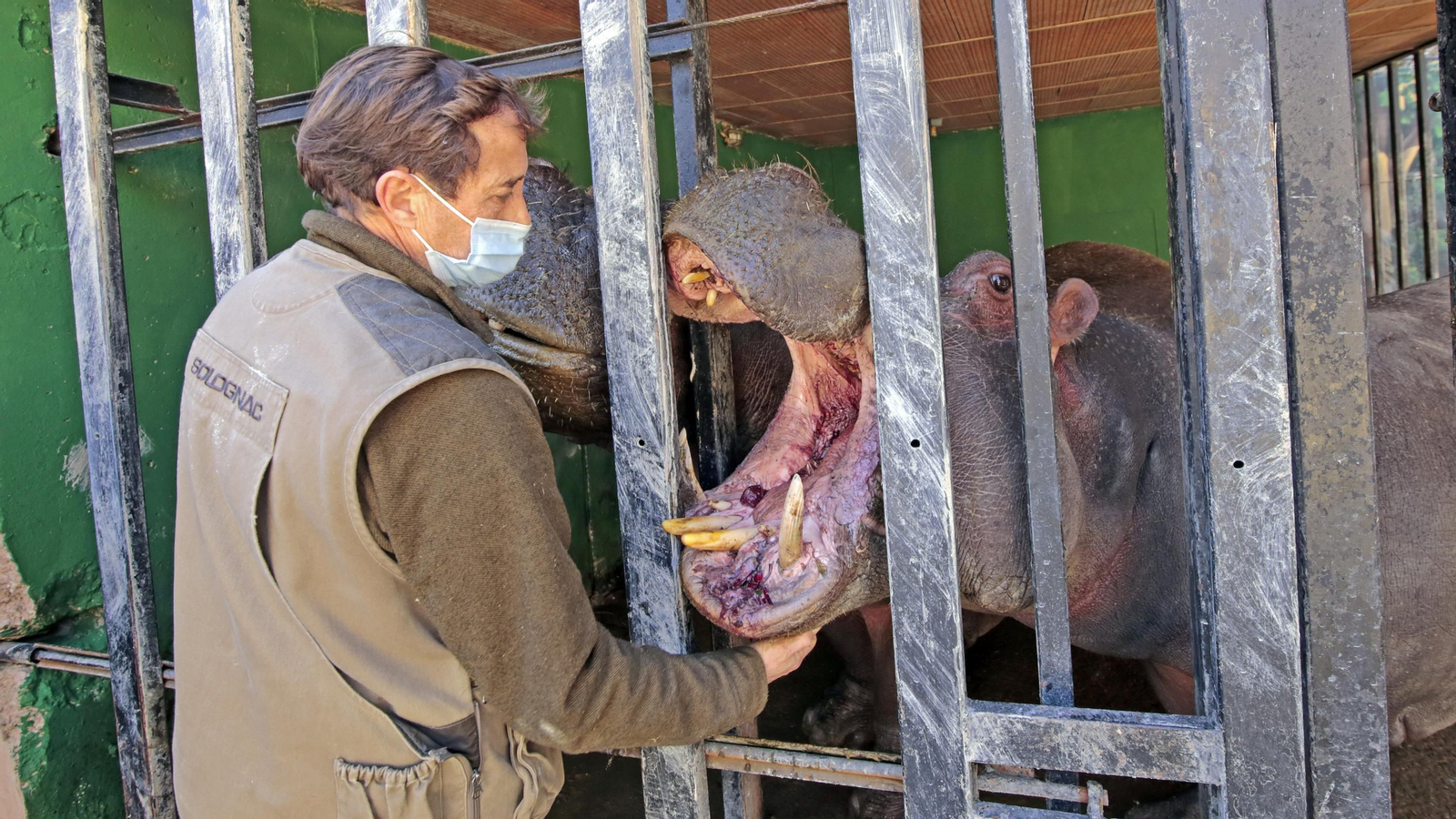 69 aniversario del Zoo de Jerez