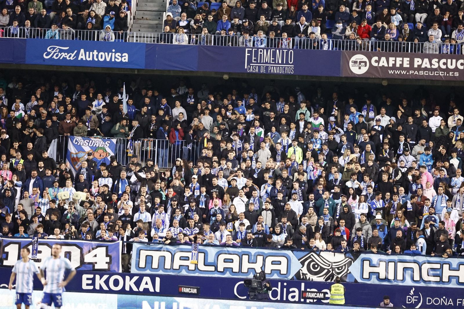 Búscate en La Rosaleda en el Málaga CF-Albacete