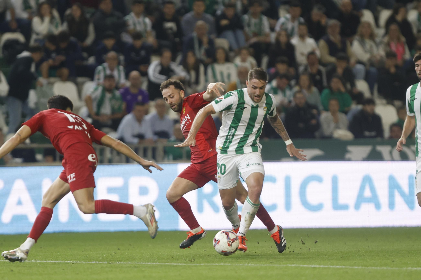 Las mejores fotos del ambiente en el Córdoba CF - Zaragoza en El Arcángel