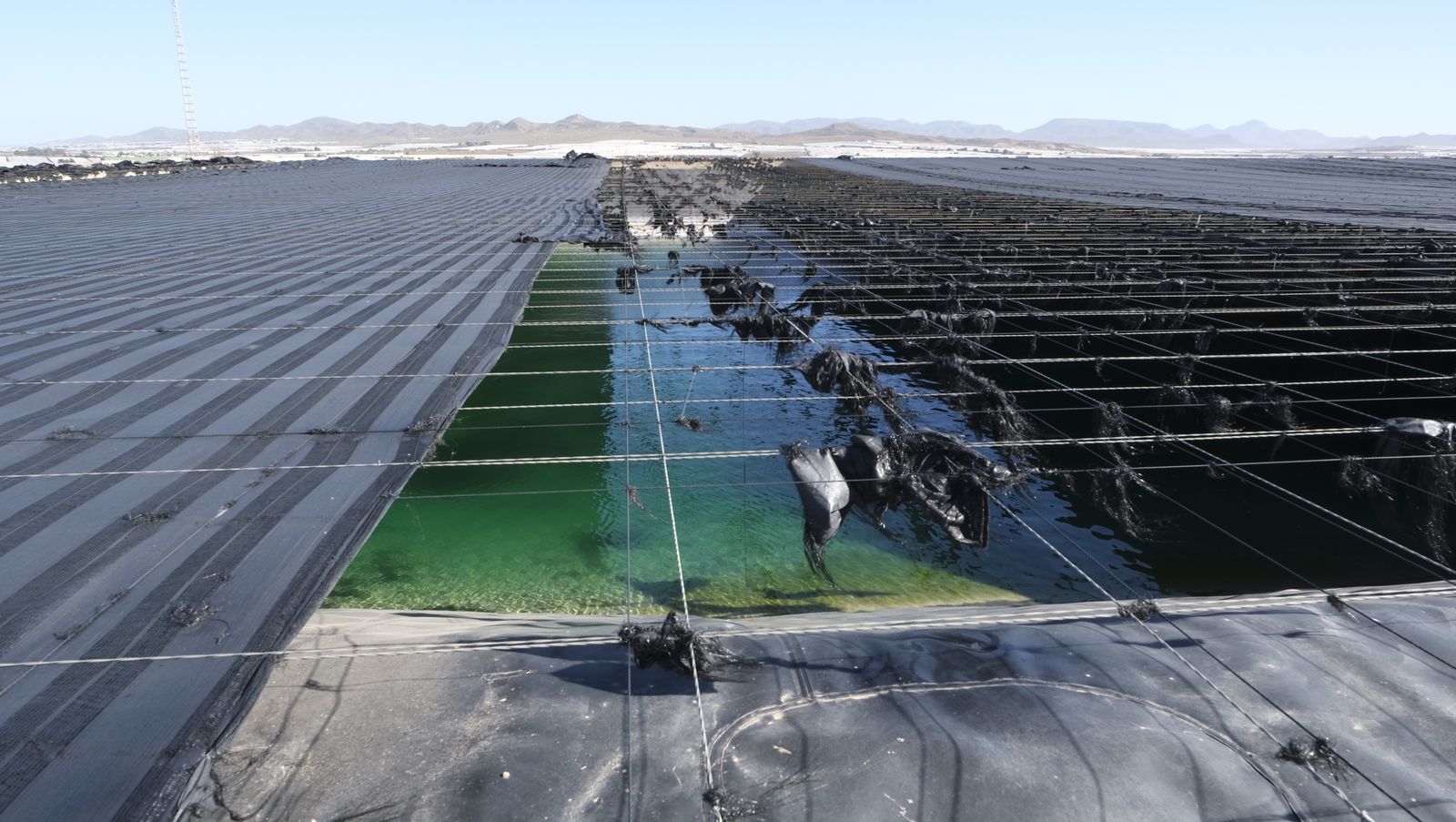 Visita a la desaladora Mar de Alborán.