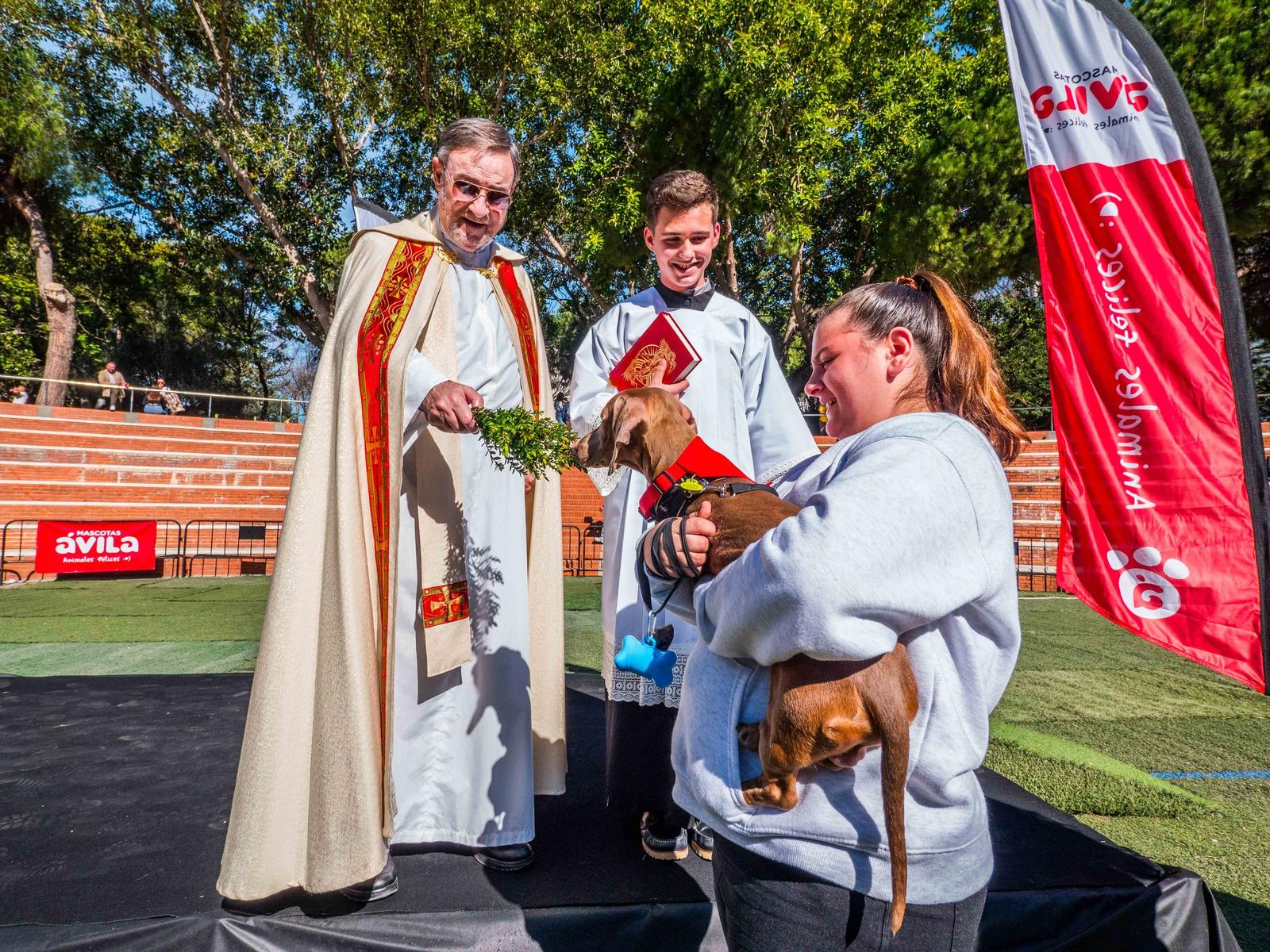 Las imágenes de San Antón 2025 en San Fernando