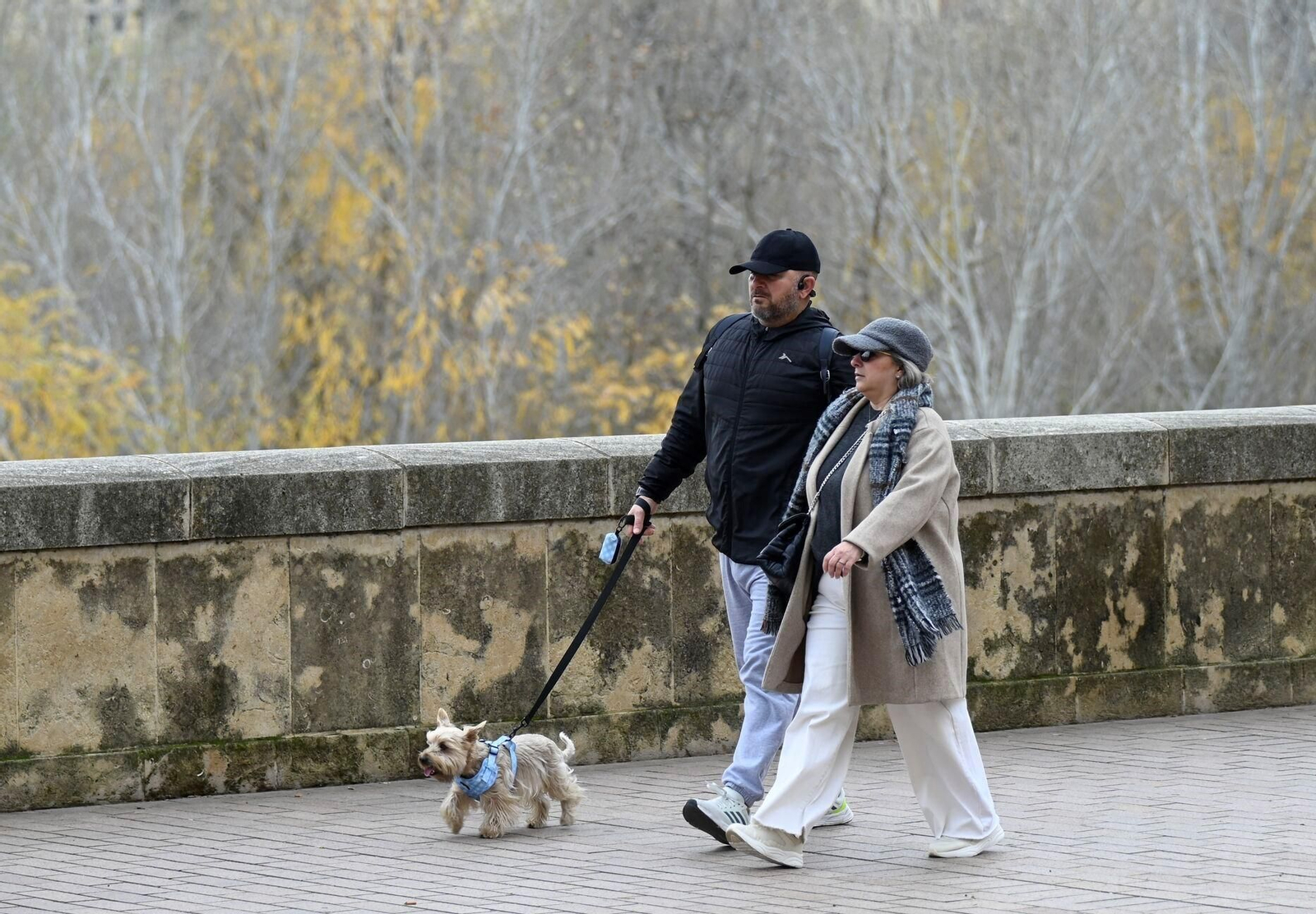Un paseo en imágenes por la Ribera de Córdoba una gélida mañana