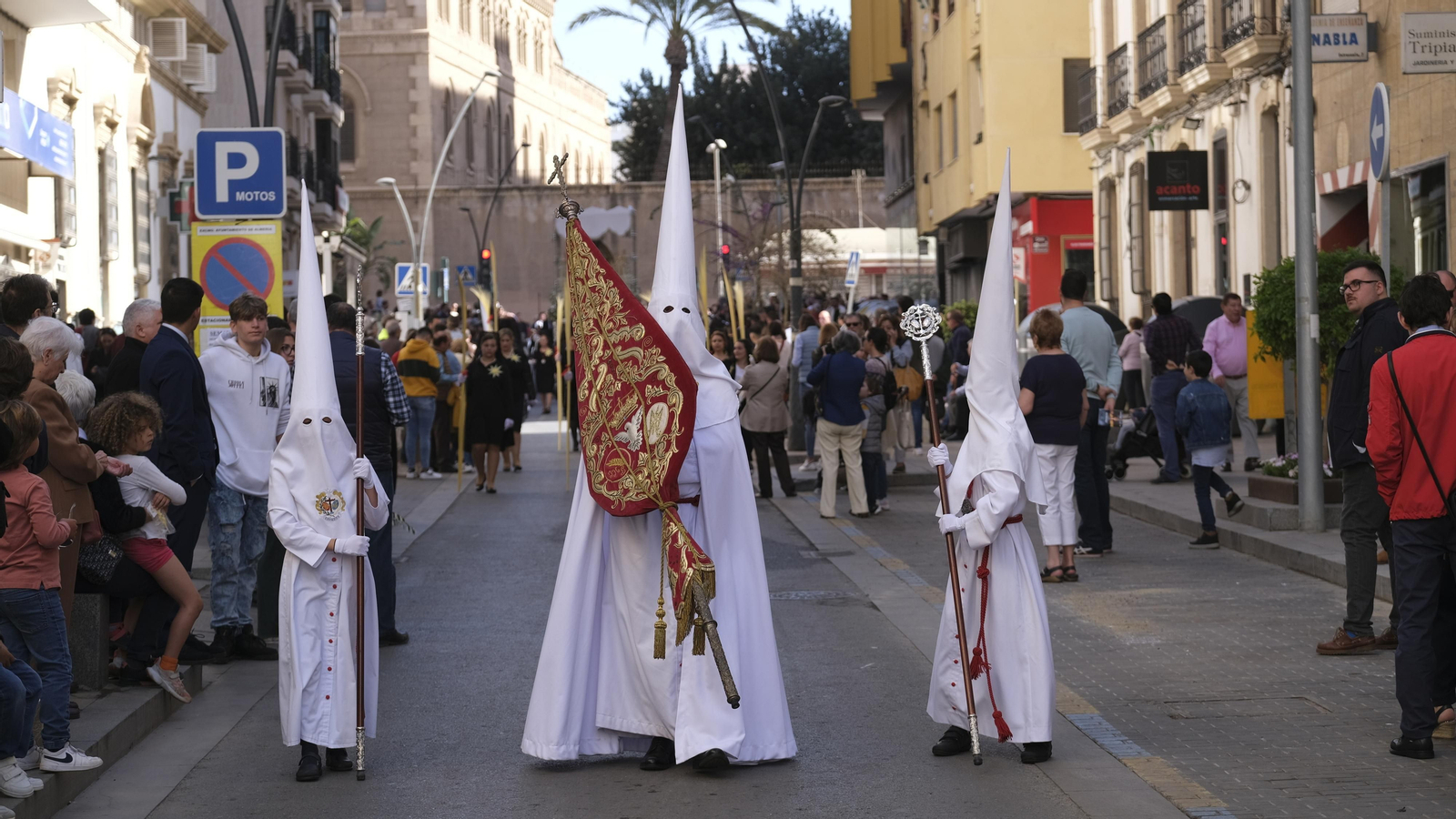 Imágenes de la Procesión de la Borriquita de Almería